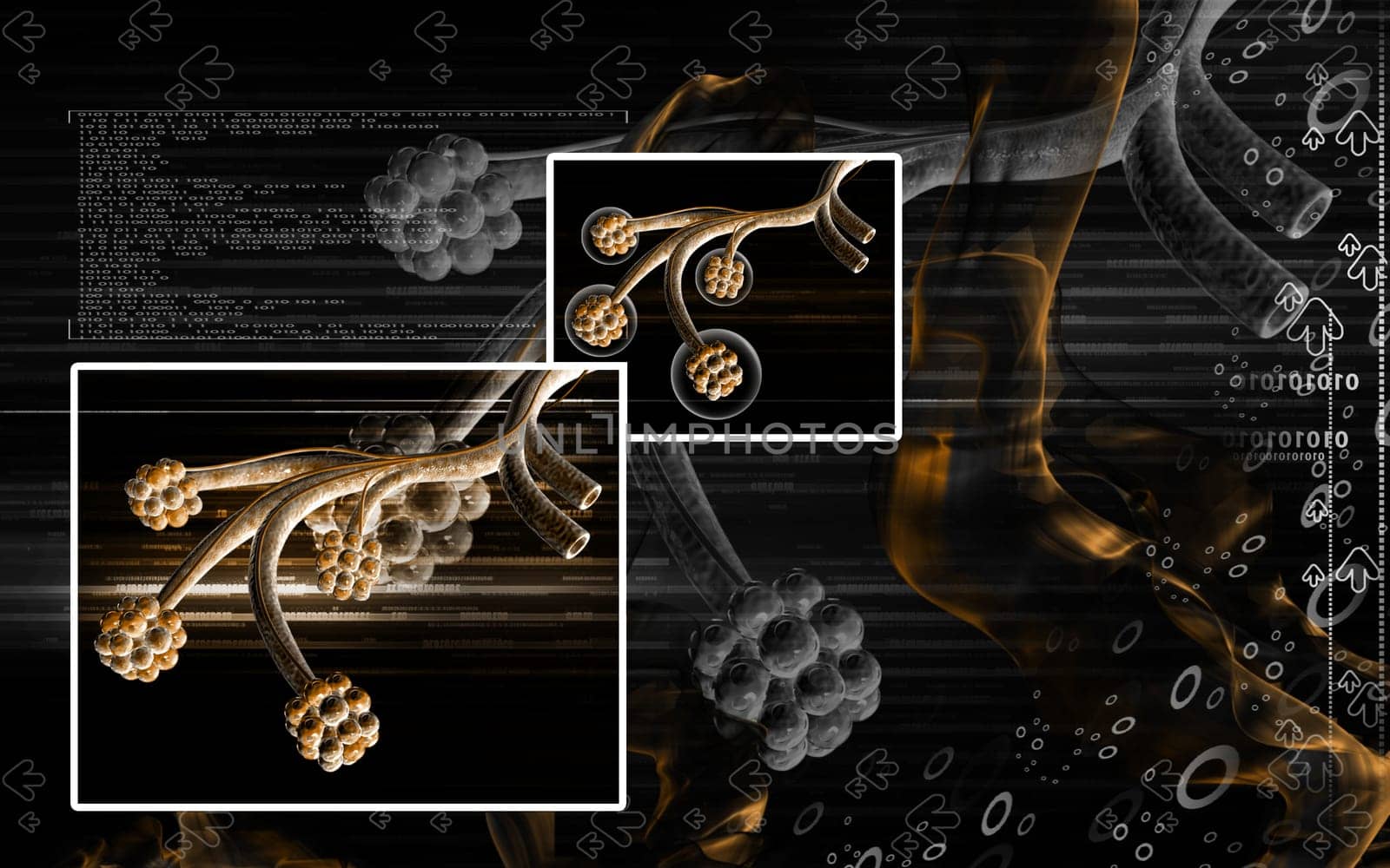 Digital illustration of alveoli in colour background