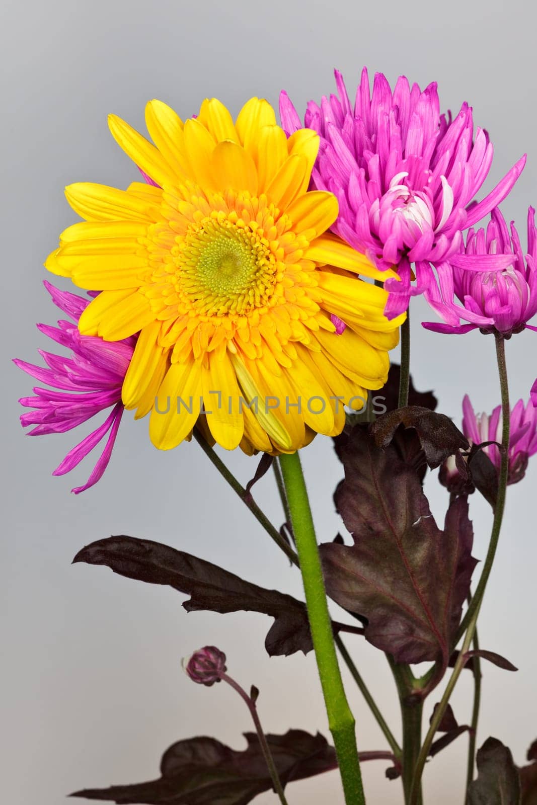 bunch of yellow and pink spring flowers