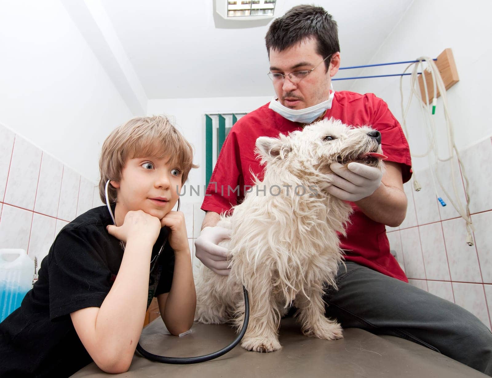 Little boy at vet with his dog