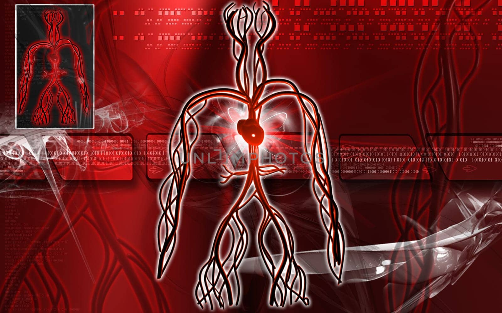 Digital illustration of vascular system in colour background