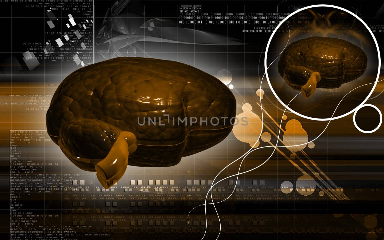 Digital illustration of brain in colour background