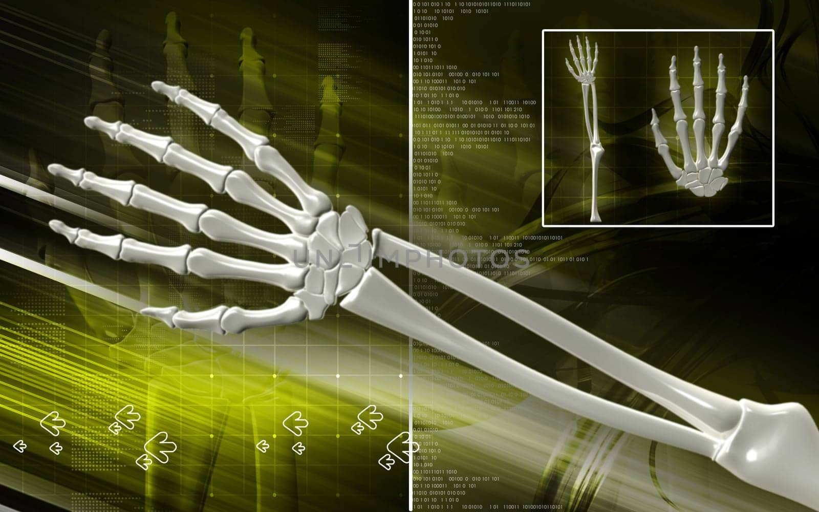 Digital illustration of hand bone in colour background