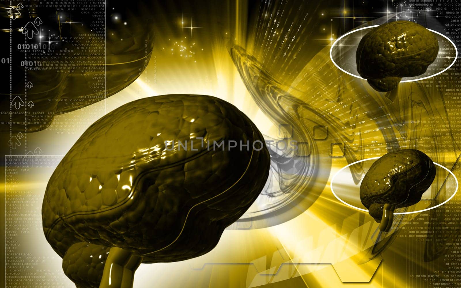 Digital illustration of brain in colour background