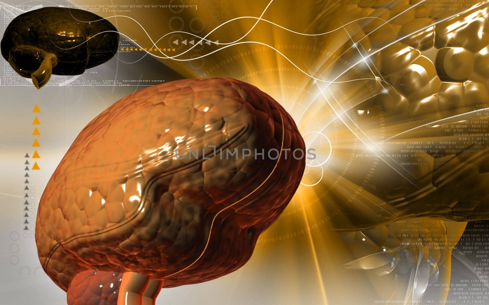 Digital illustration of brain in colour background
