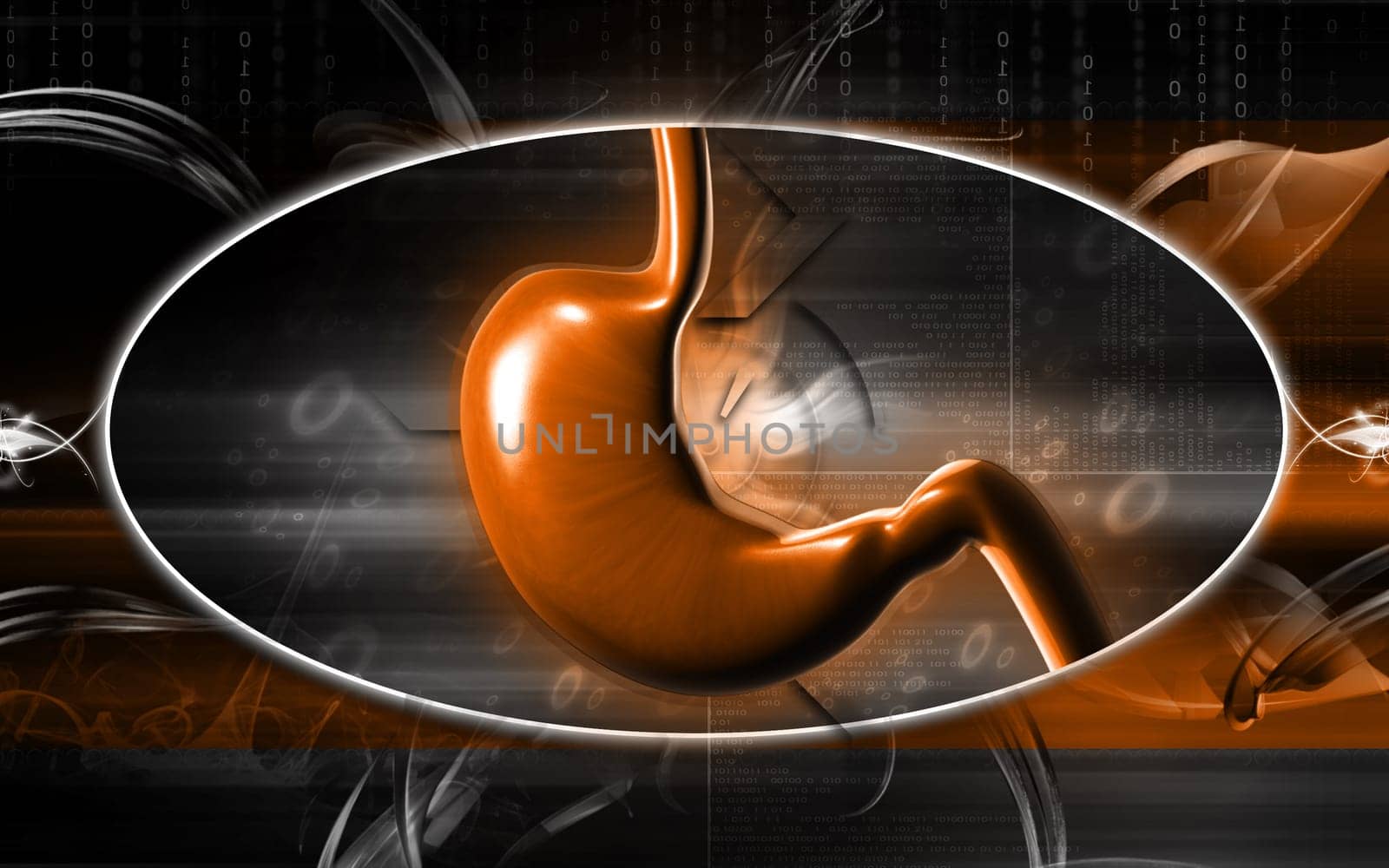 Digital illustration of stomach in colour background