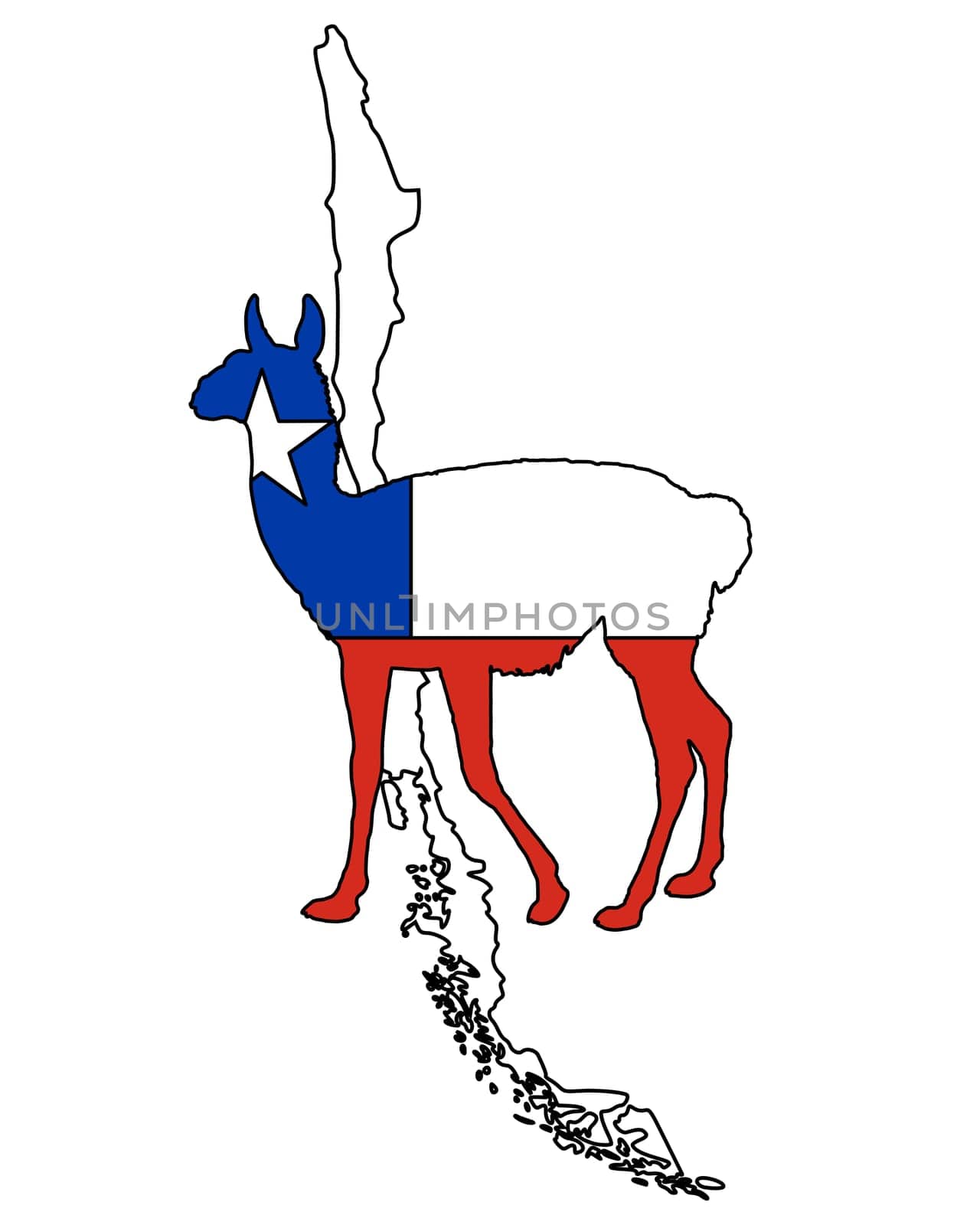 Guanaco Chile