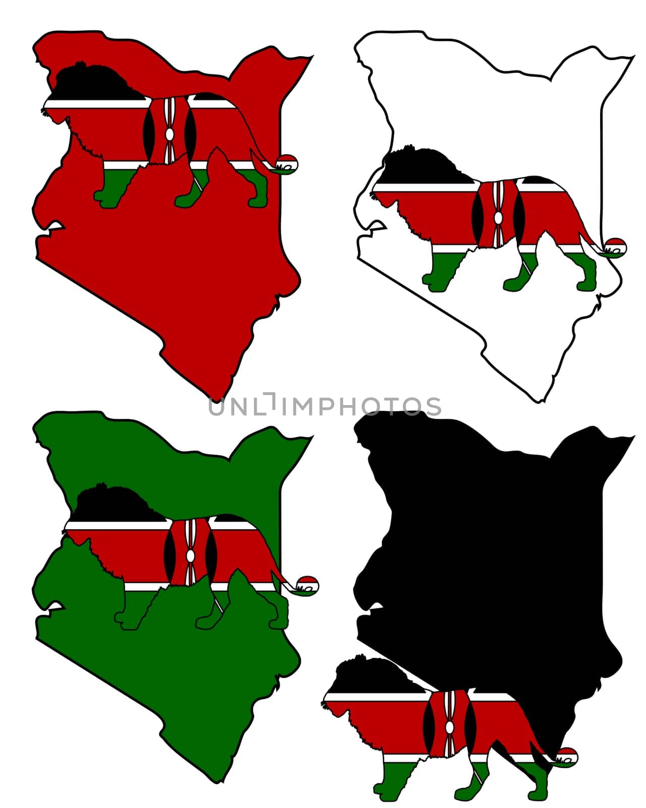 Lion Kenya