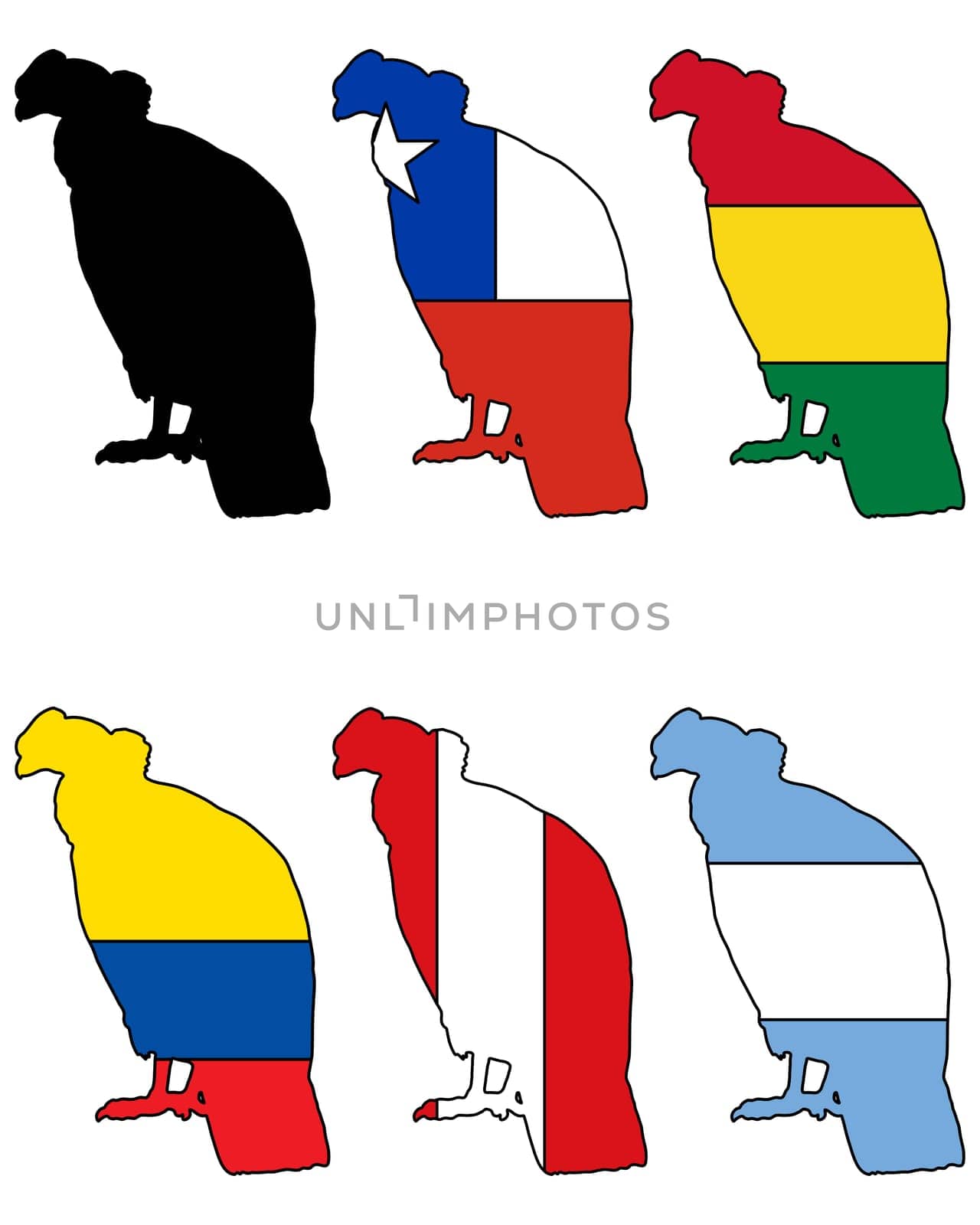Andean Condor Flags
