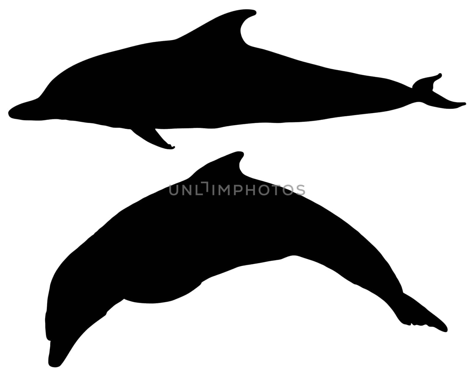 Dolphins Silhouettes