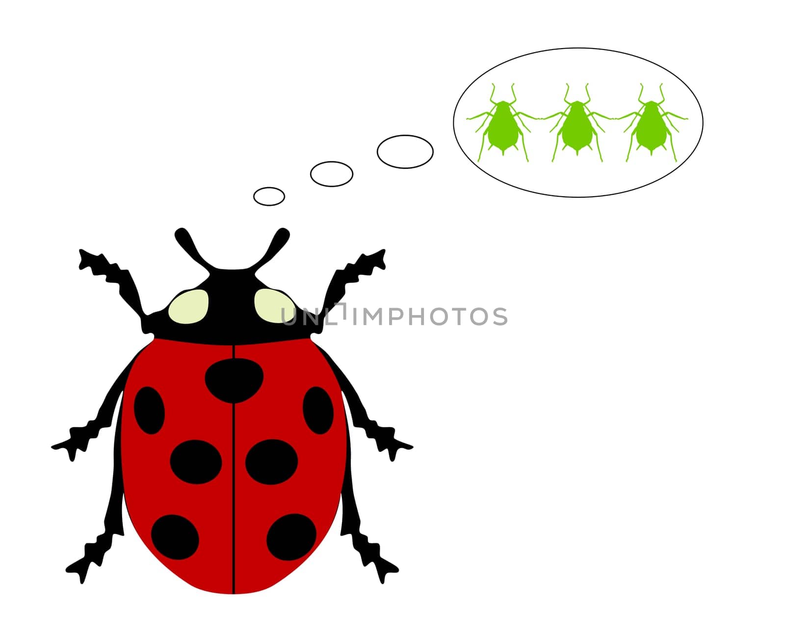 Ladybug Food