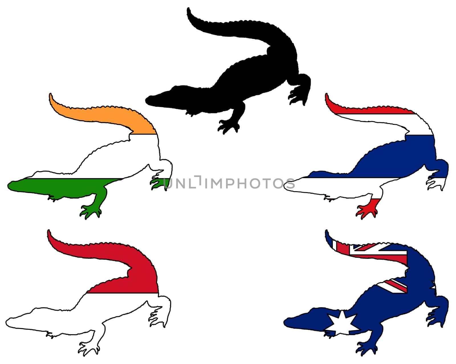 Crocodile Asia