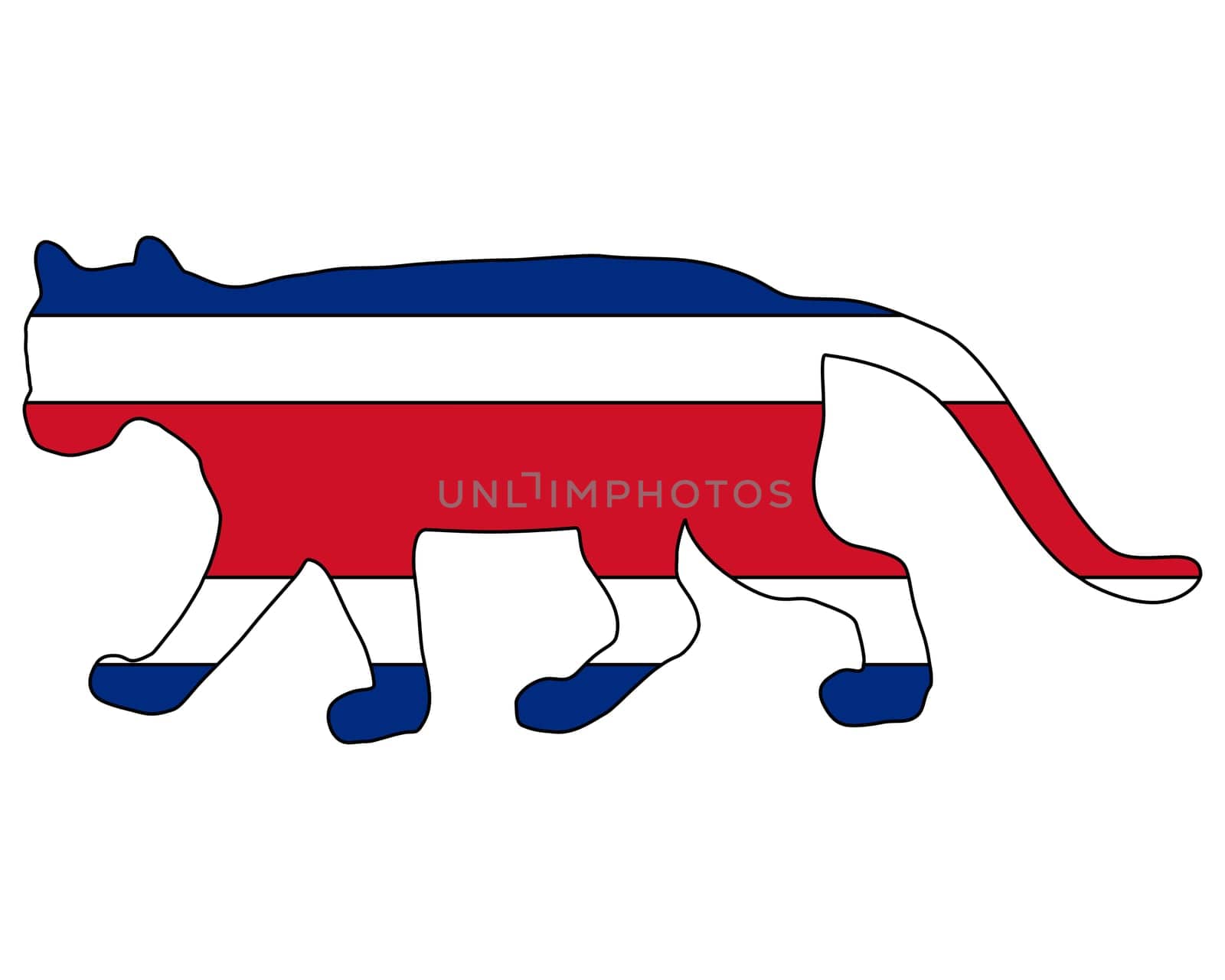 Puma Costa Rica