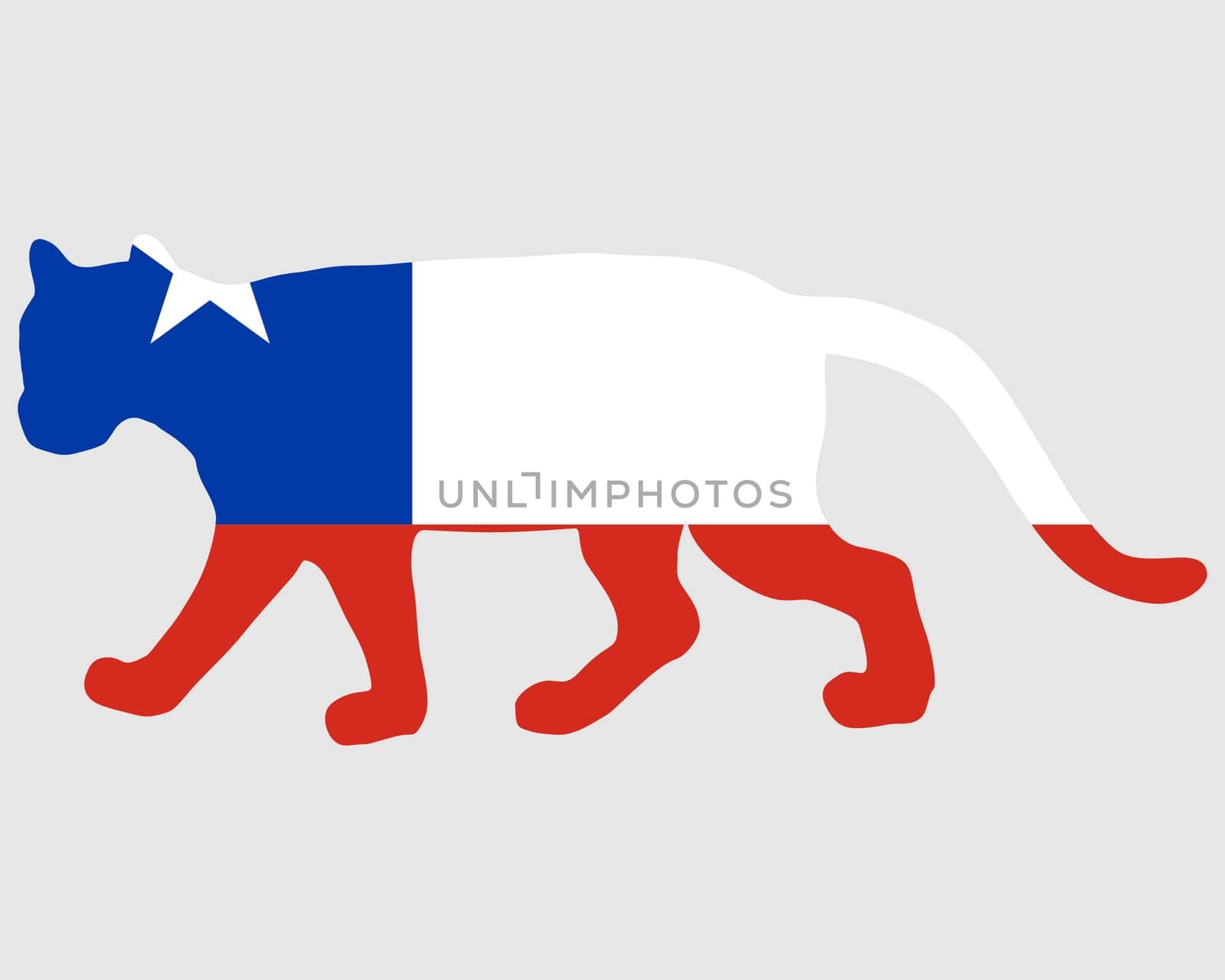 Puma Chile