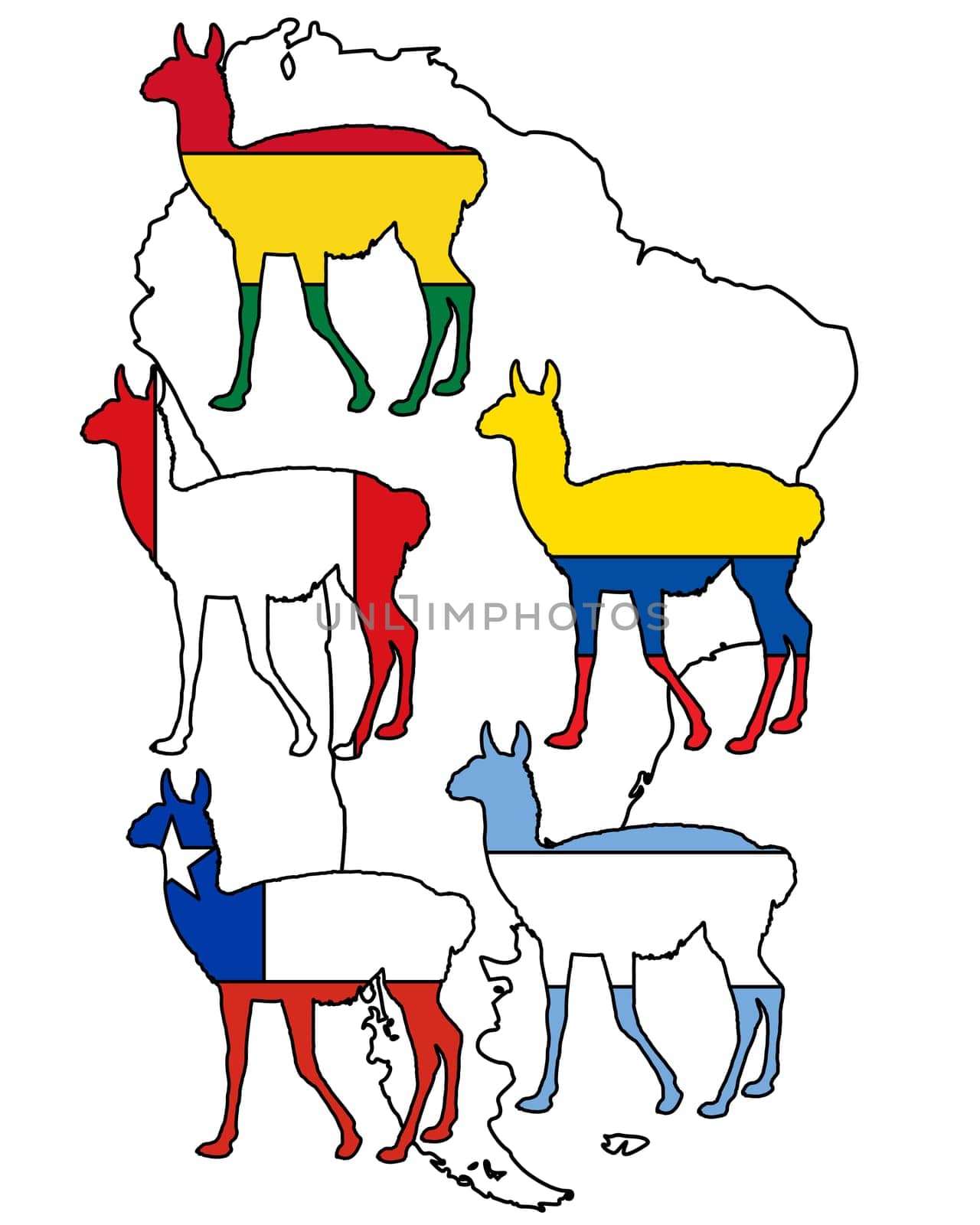 Guanaco South America