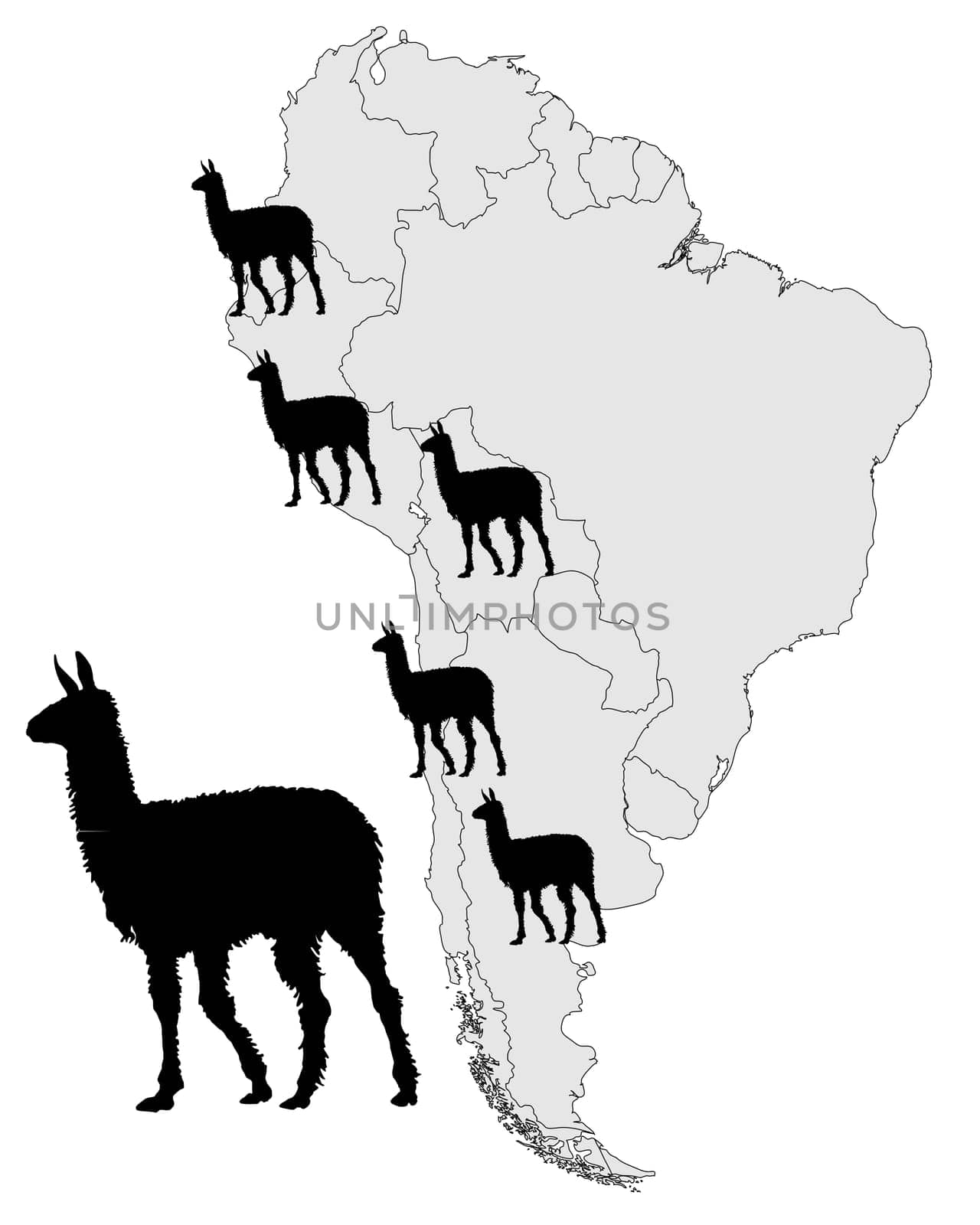Llama Spread