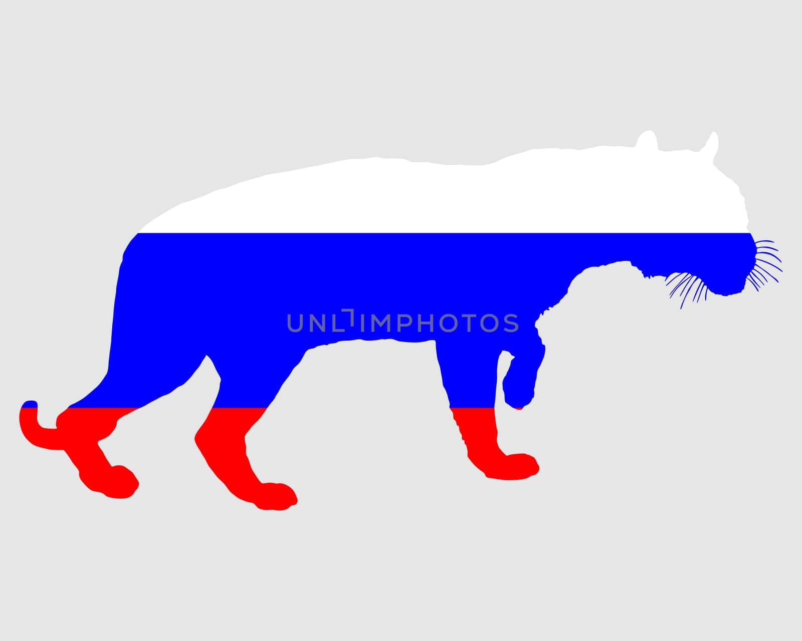 Russia Tiger