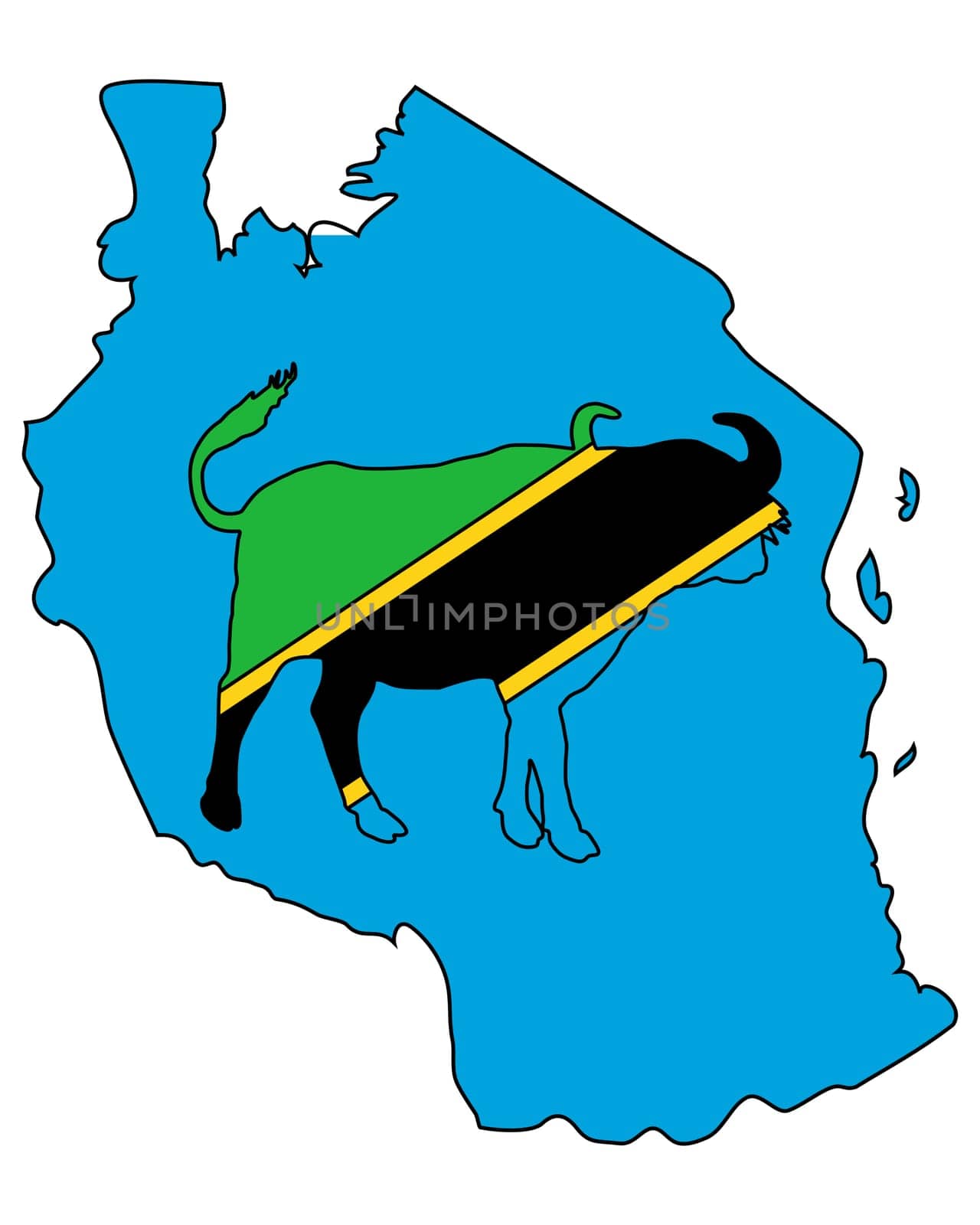 Tanzania Buffalo