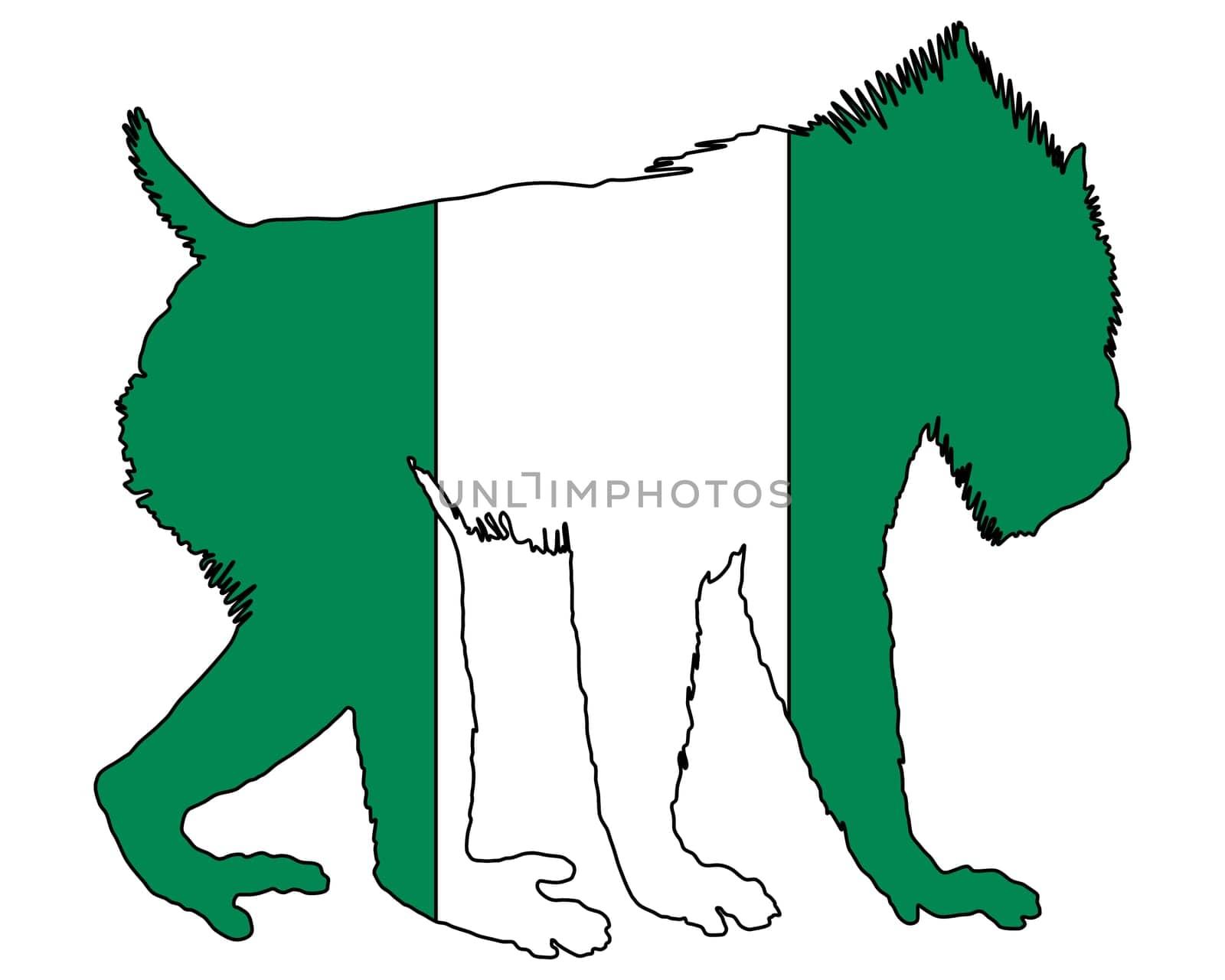 Mandrill Nigeria