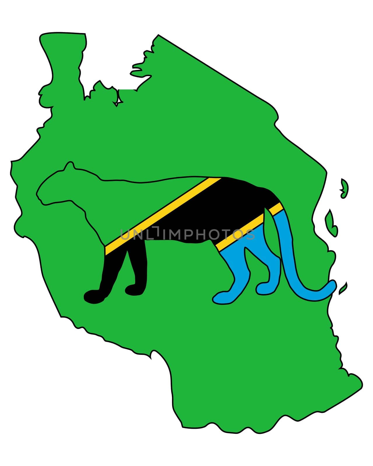 Tanzania Leopard