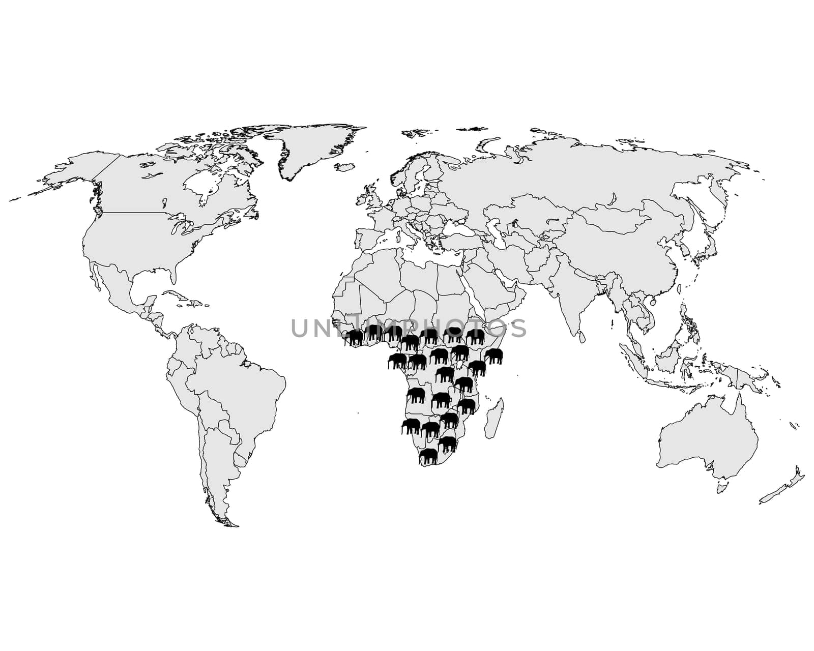 African Elephant Spread