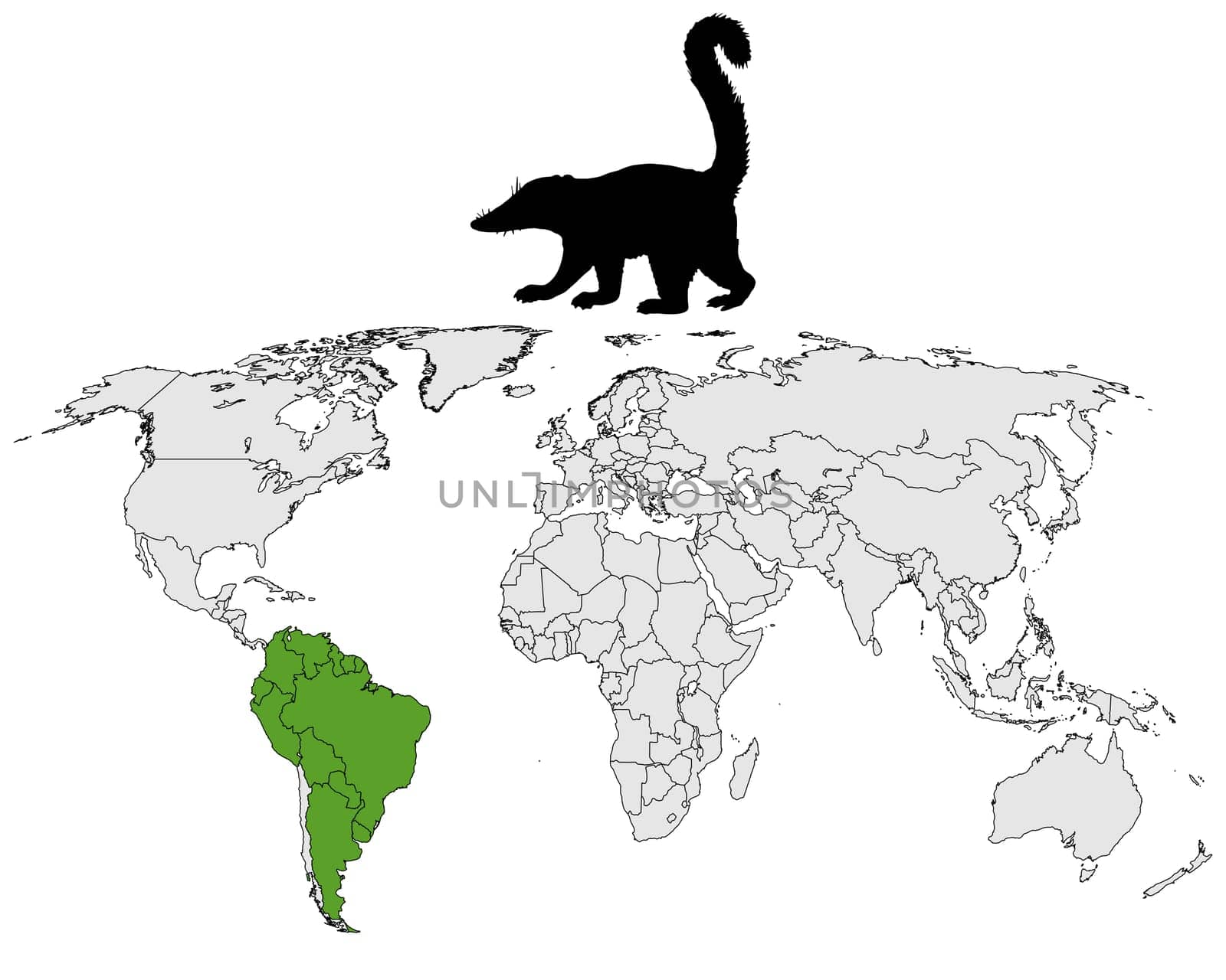 Coati distribution map