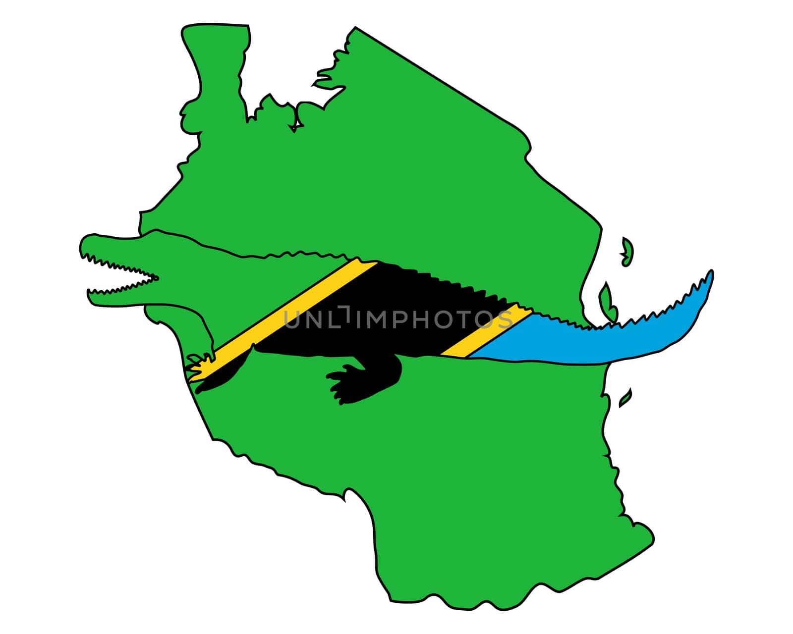 Nile Crocodile Tanzania