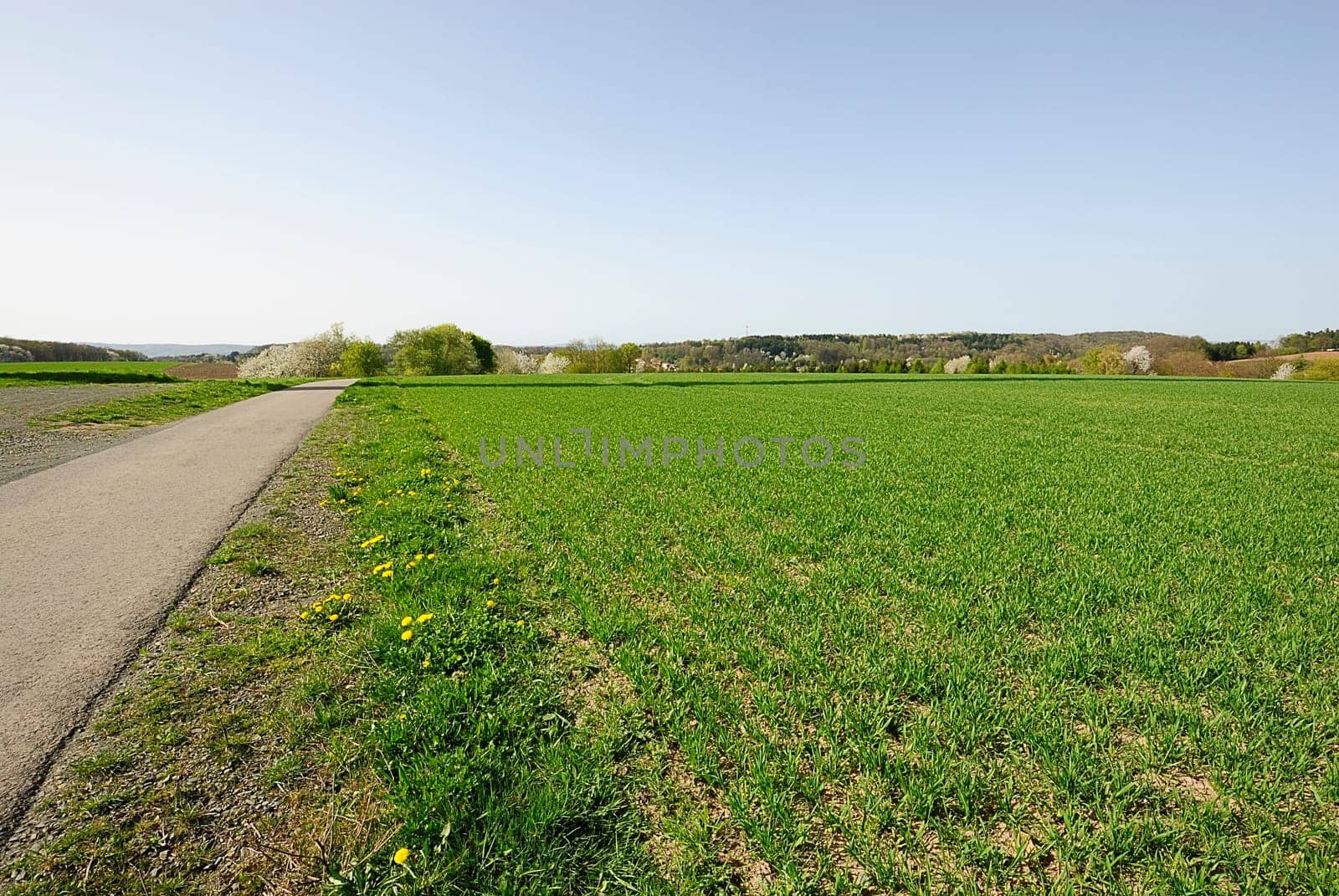 Frühlingssacker
