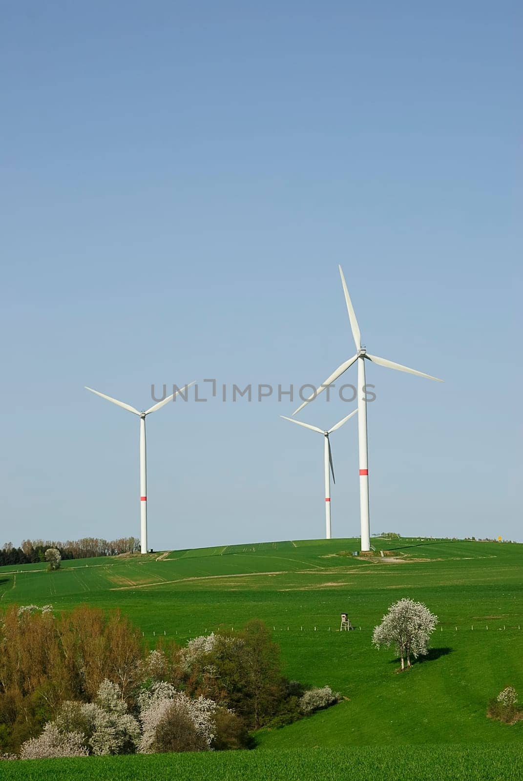 wind energy