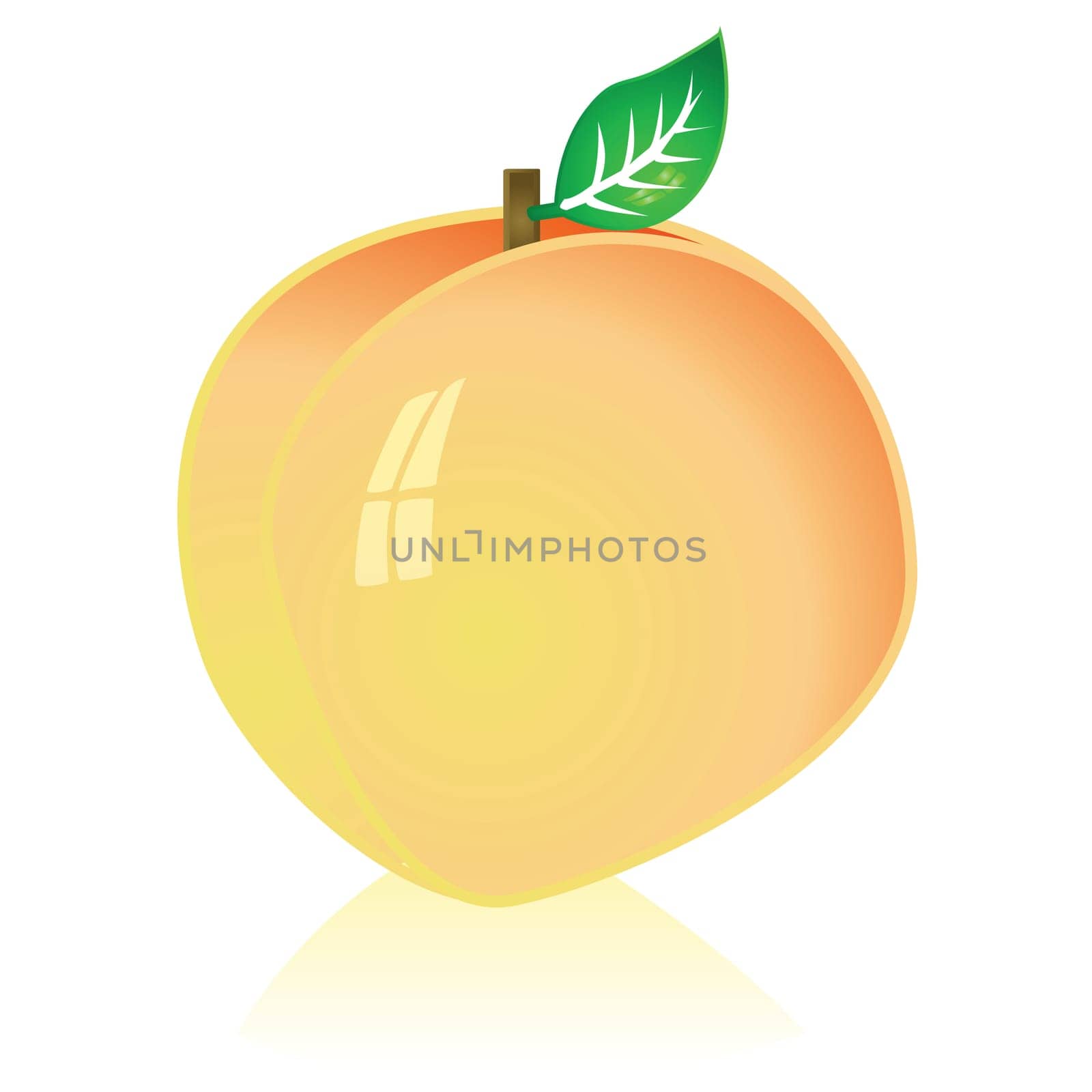 Glossy illustration of a ripe peach