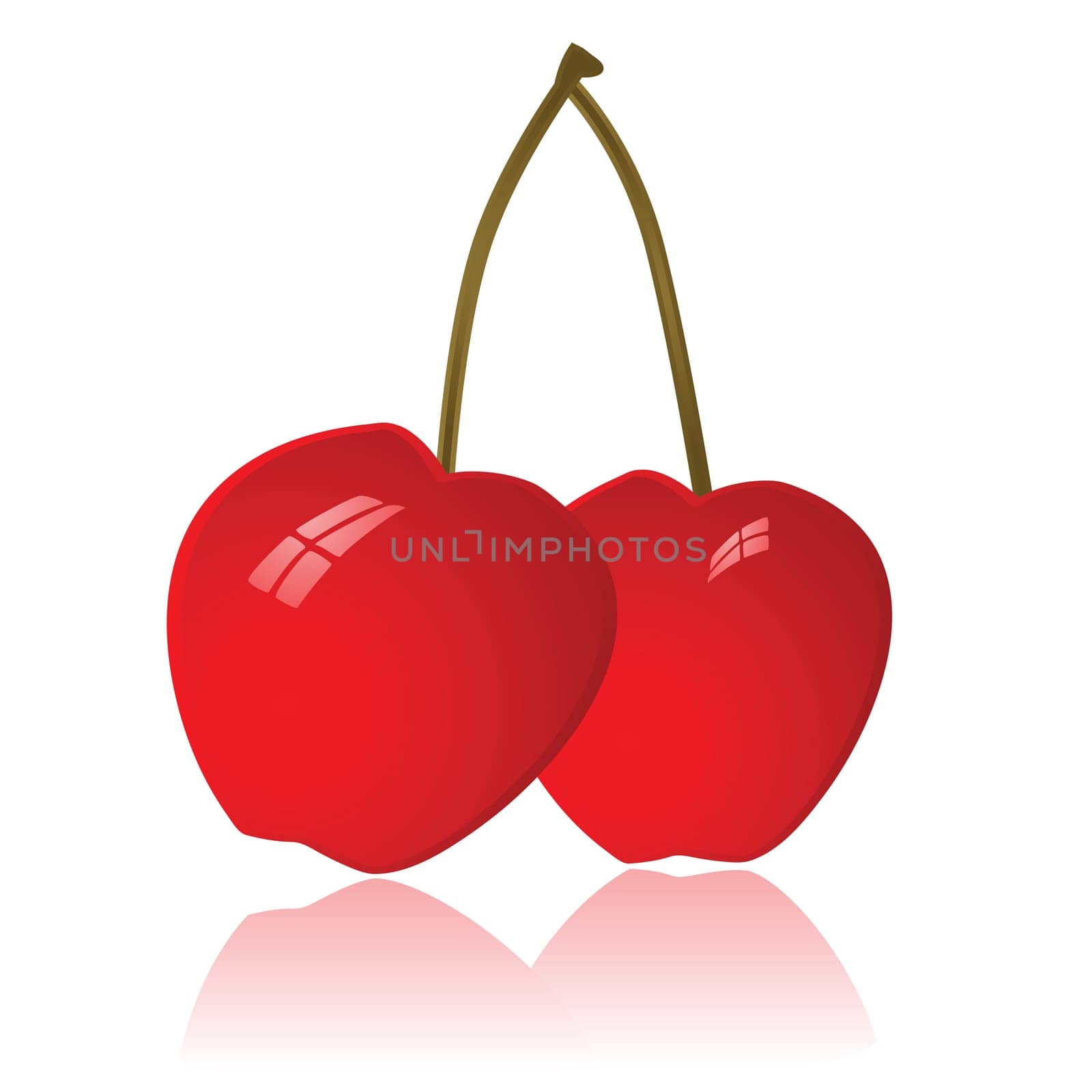 Glossy illustration of two cherries
