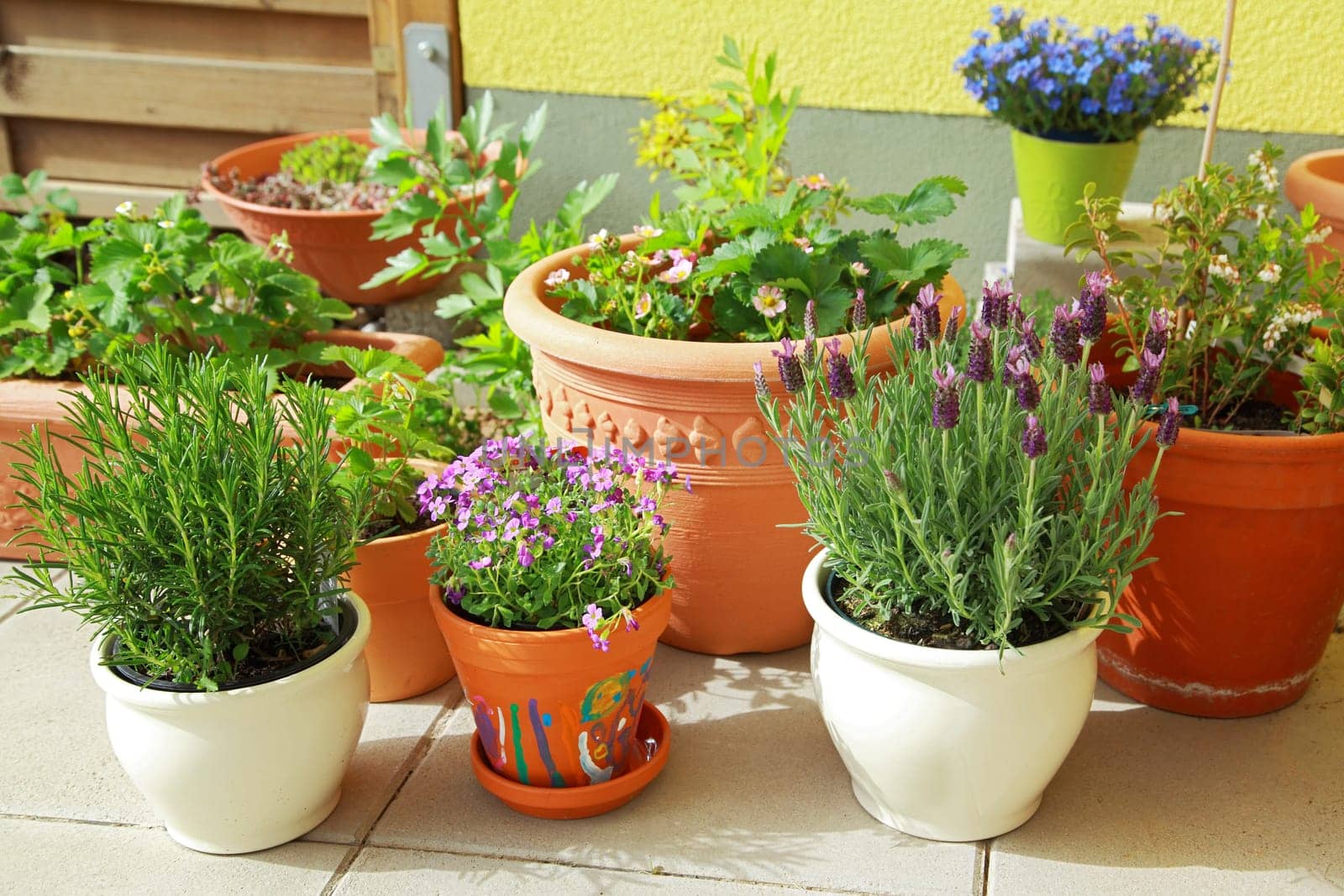 Small herb and flower garden built on terrace or roof