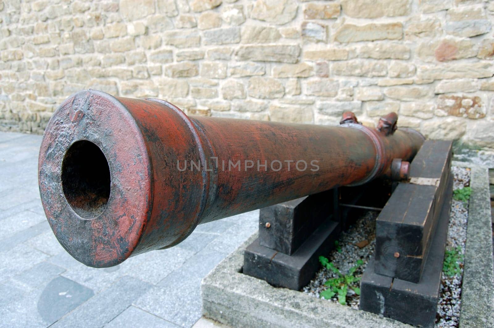 Cannon