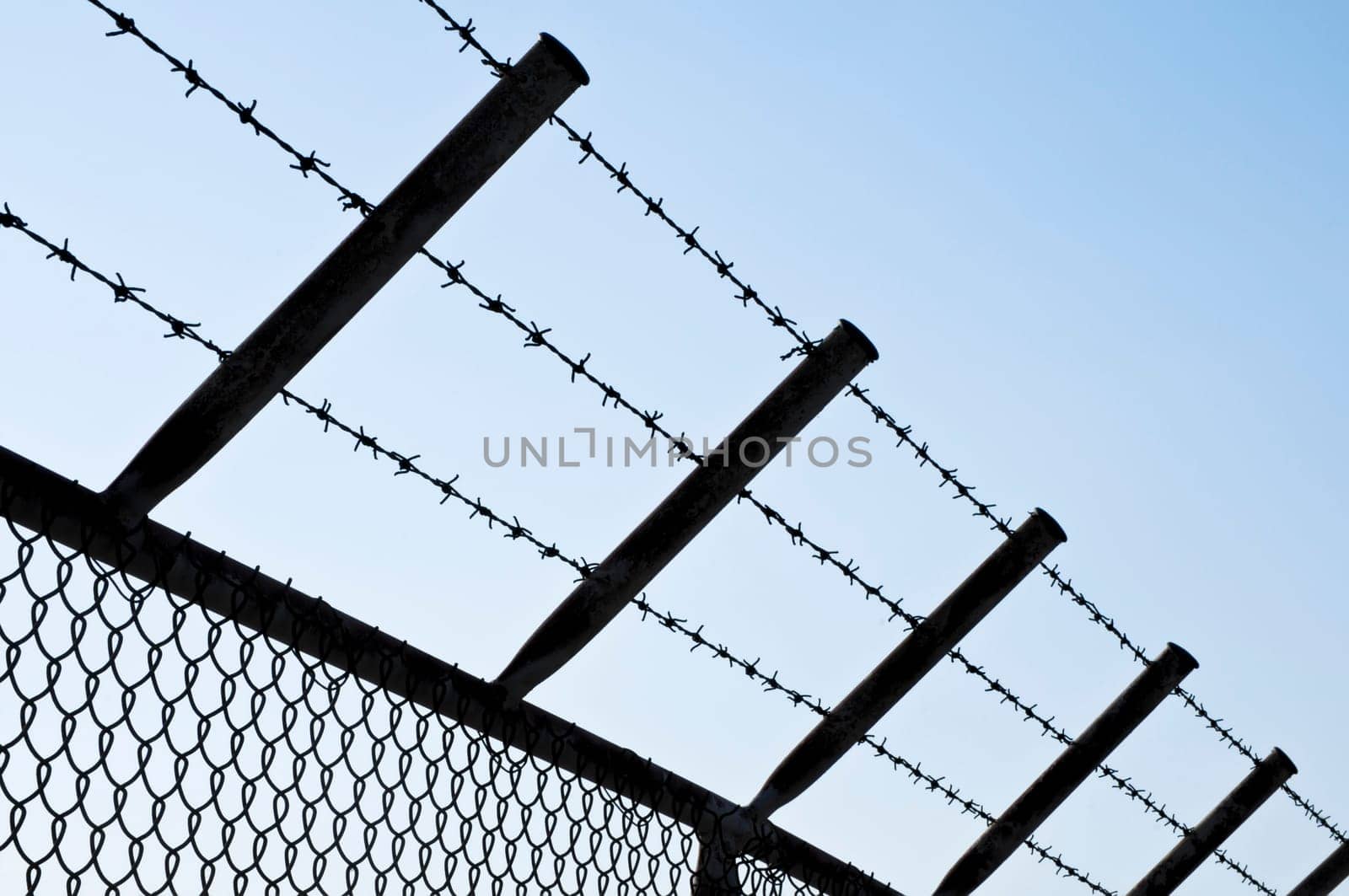 Silhouette of a Barbed Wire Fence against clear Sky