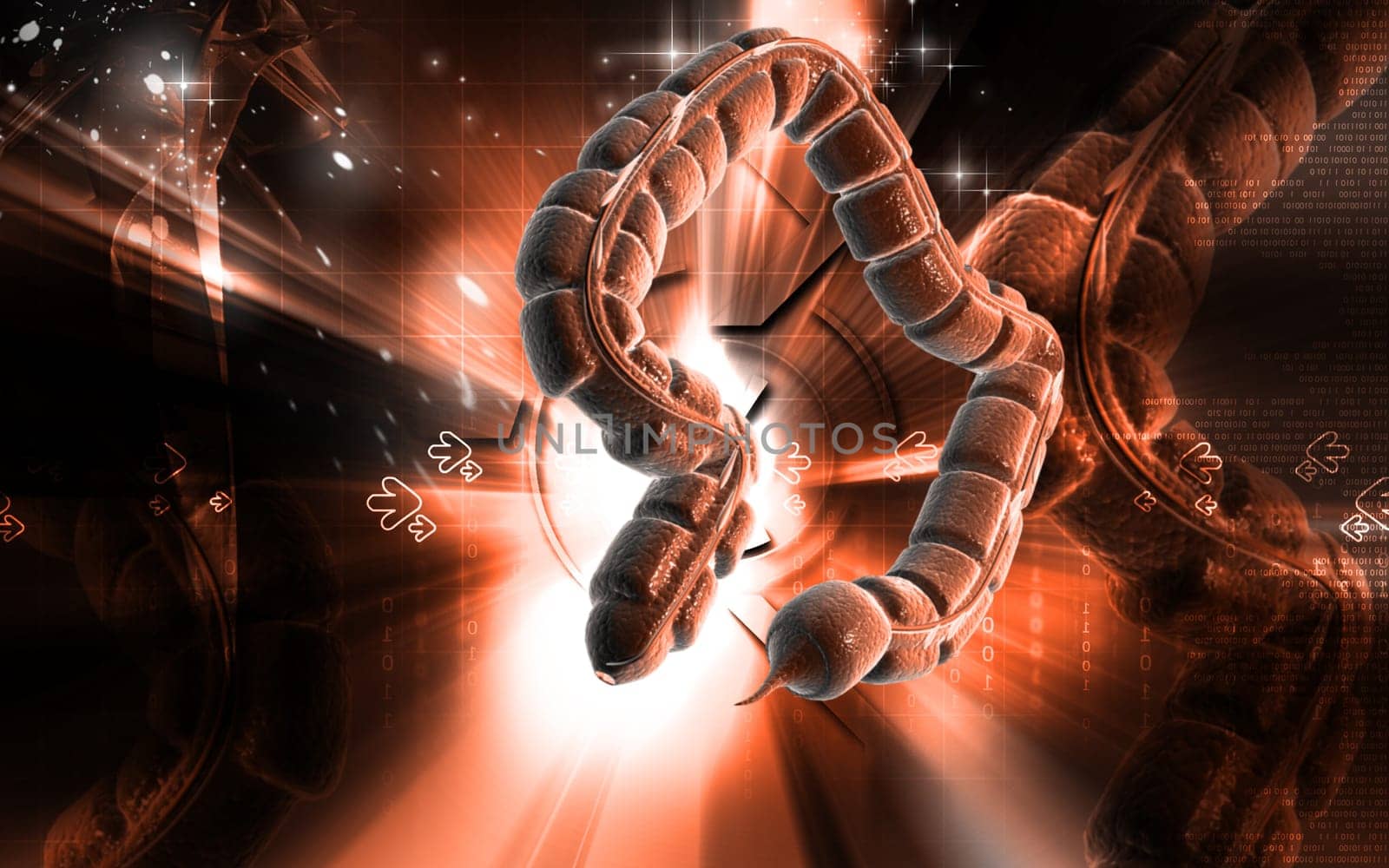 Digital illustration of large intestine in colour background