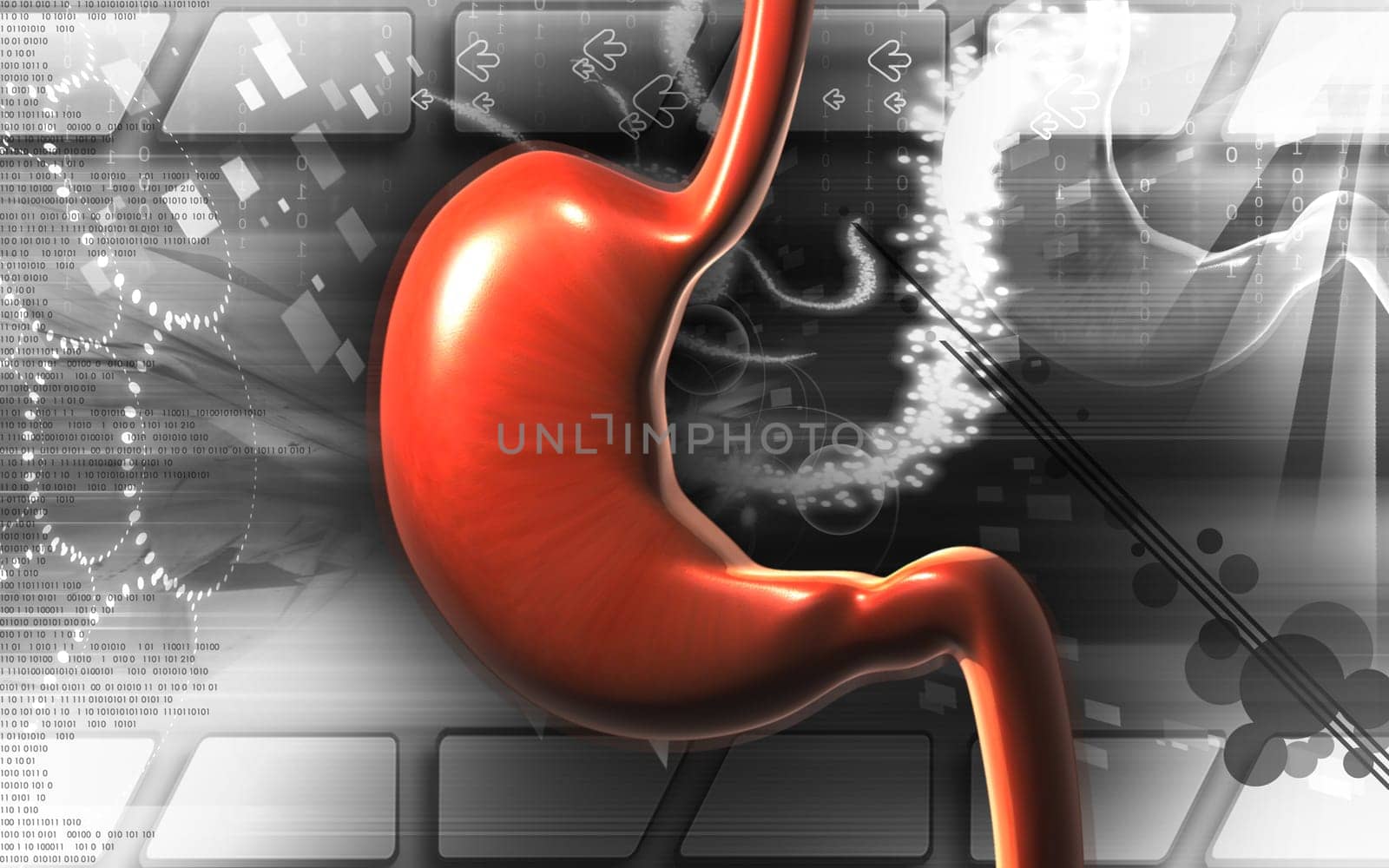 Digital illustration of stomach in colour background