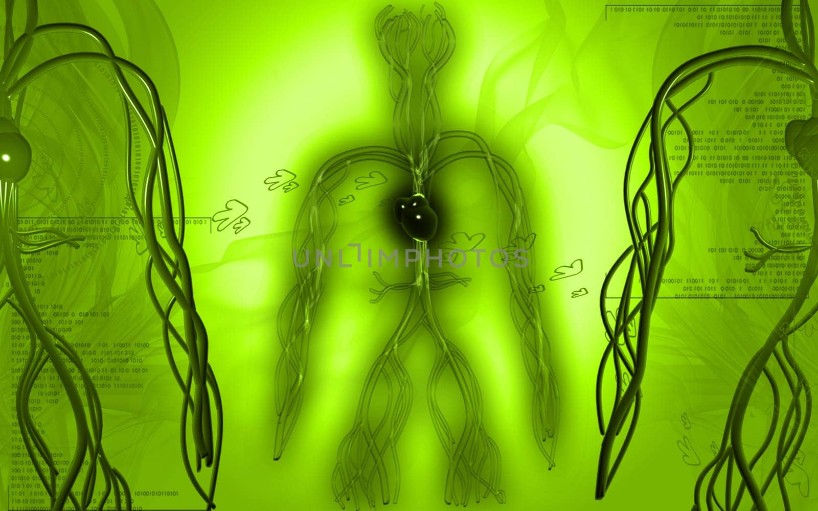 Digital illustration of vascular system in colour background