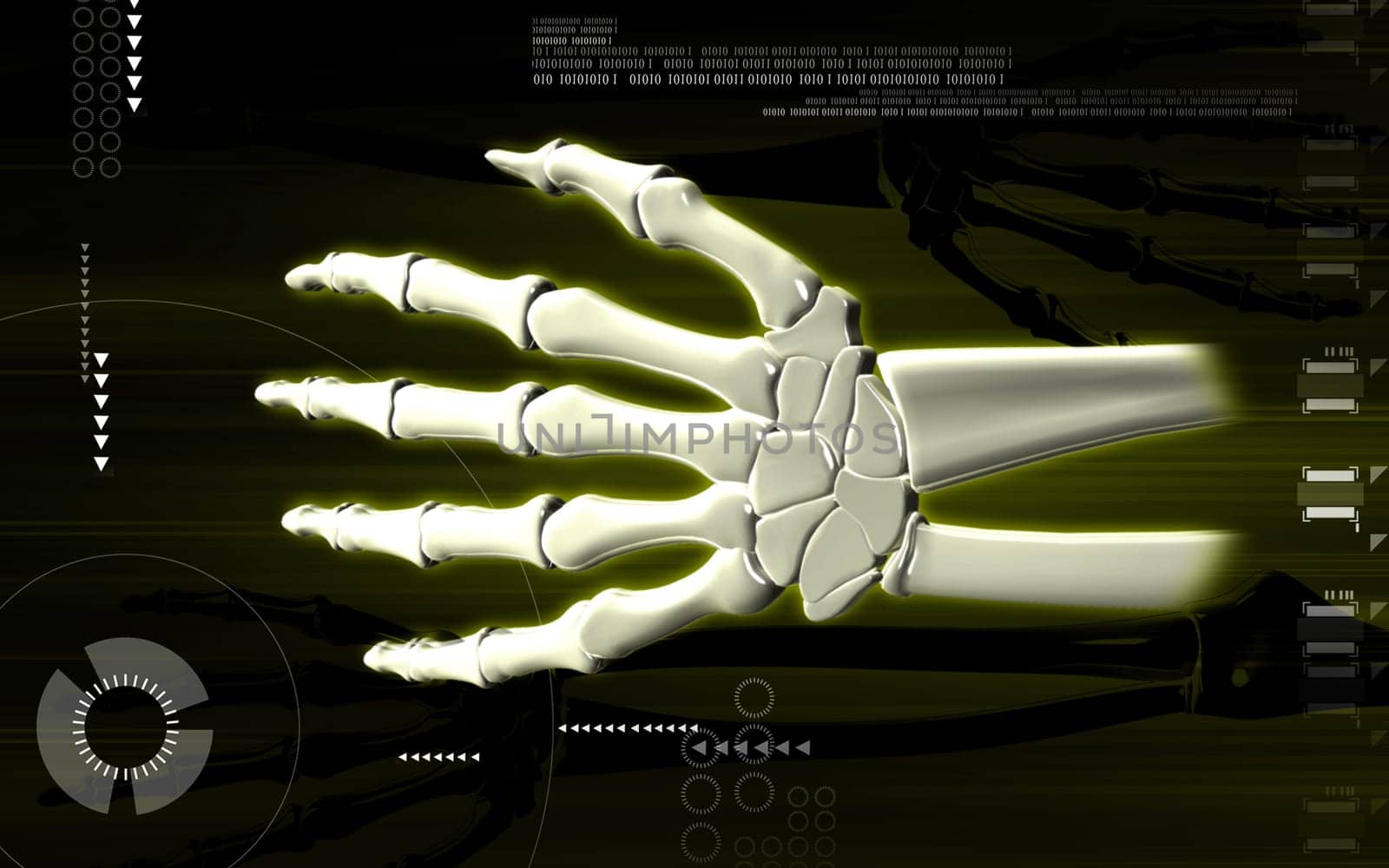 Digital illustration of hand bone in colour background