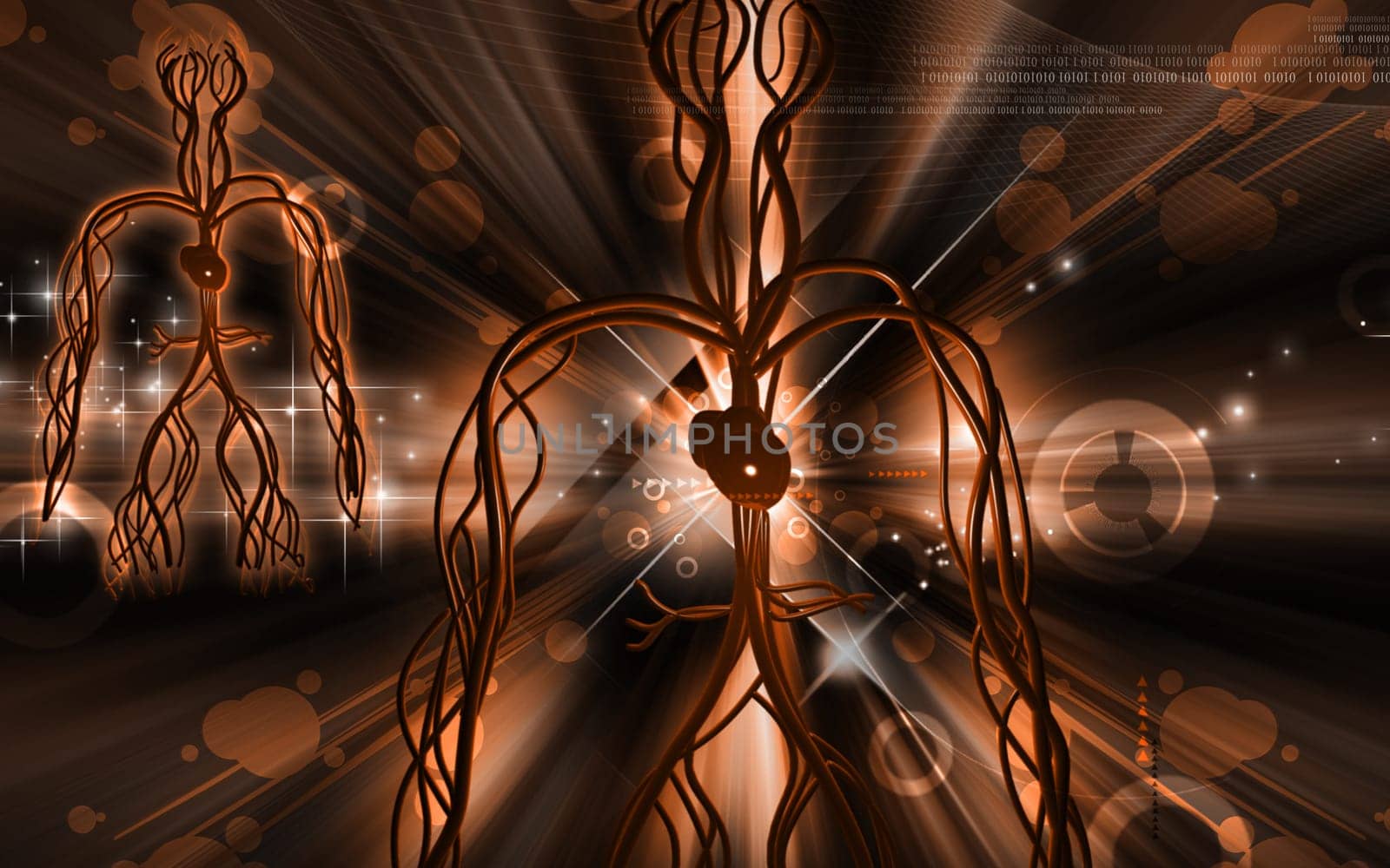Digital illustration of vascular system in colour background