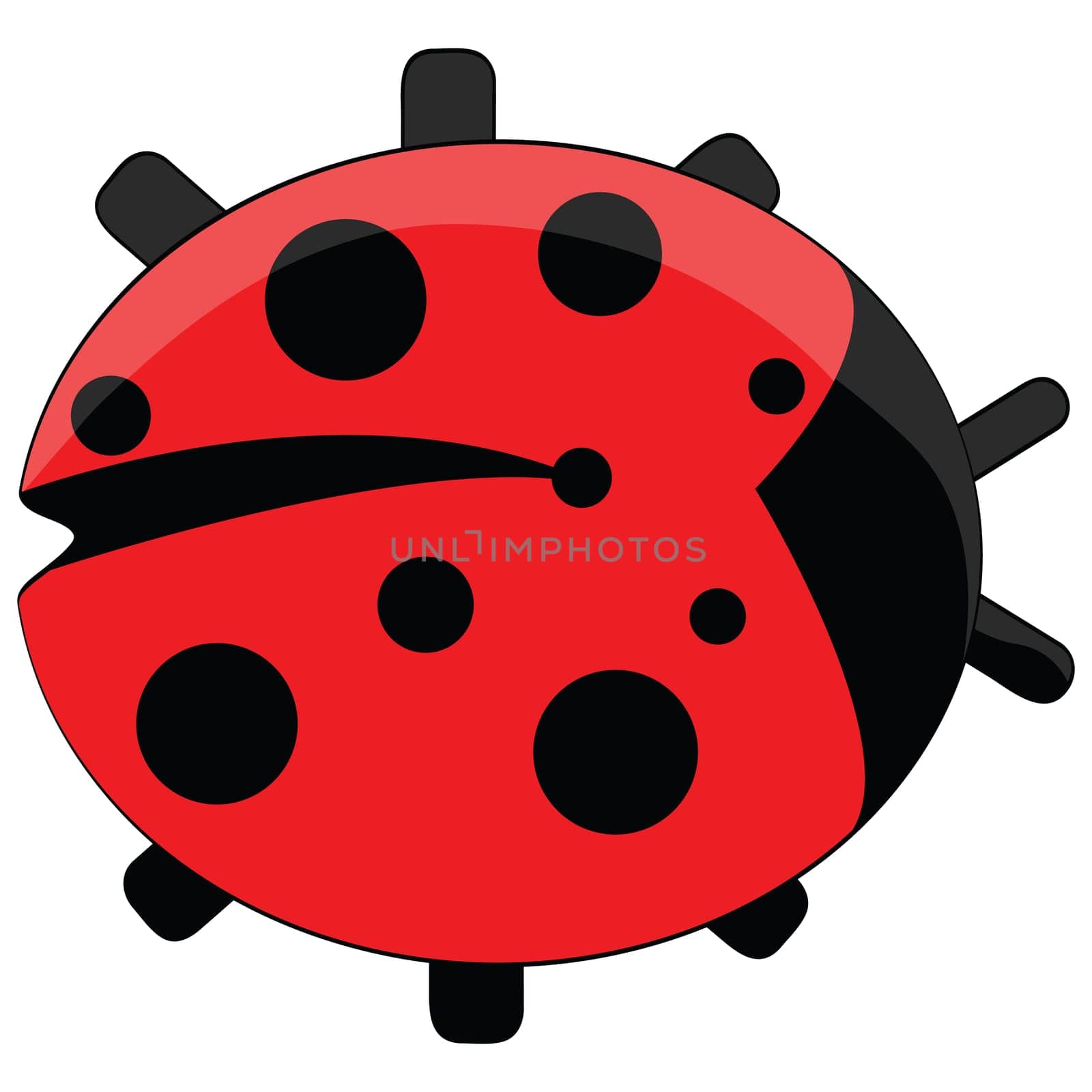 Illustration of a ladybug