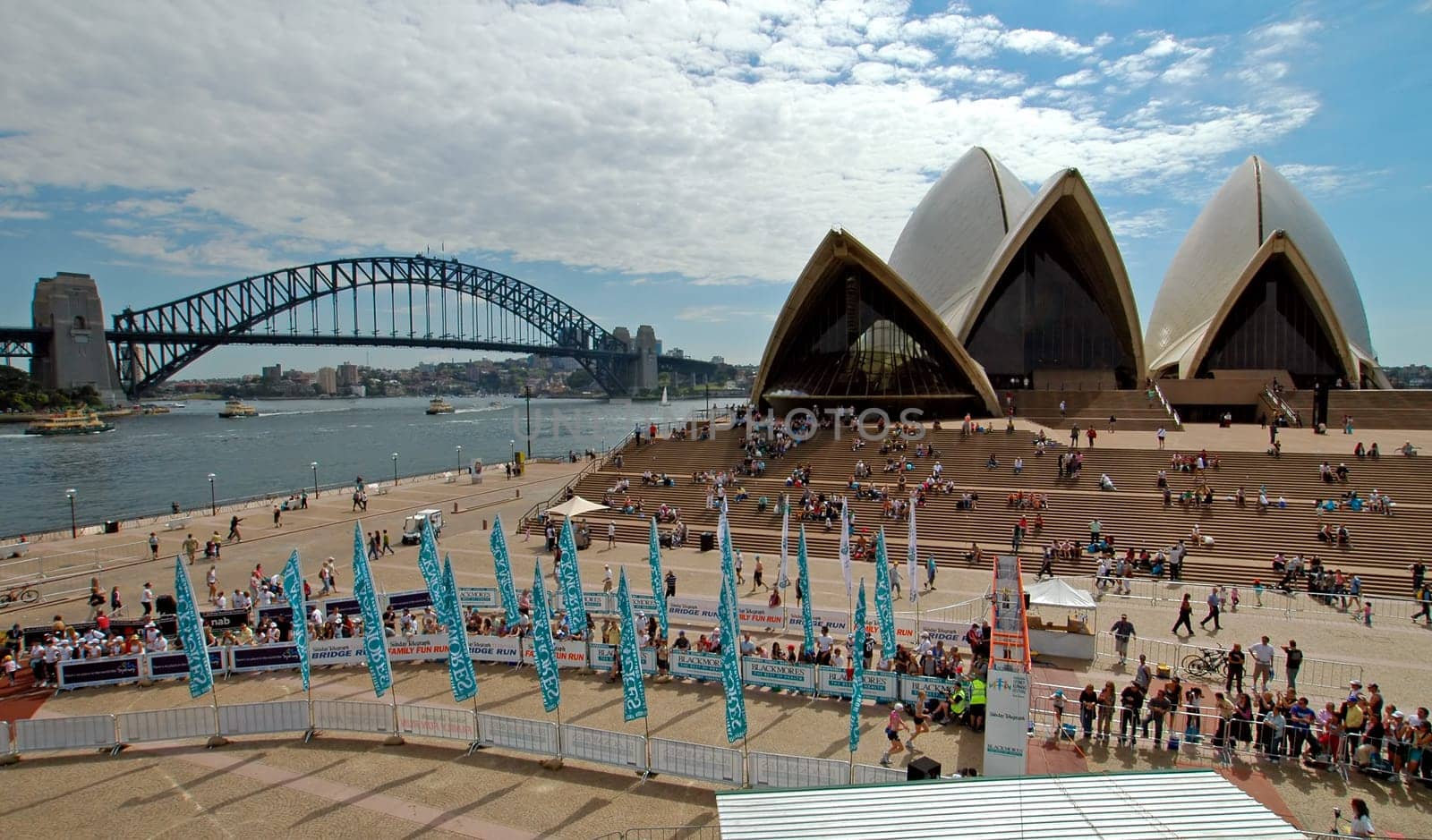 sydney marathon finish, opera house, harbour bridge