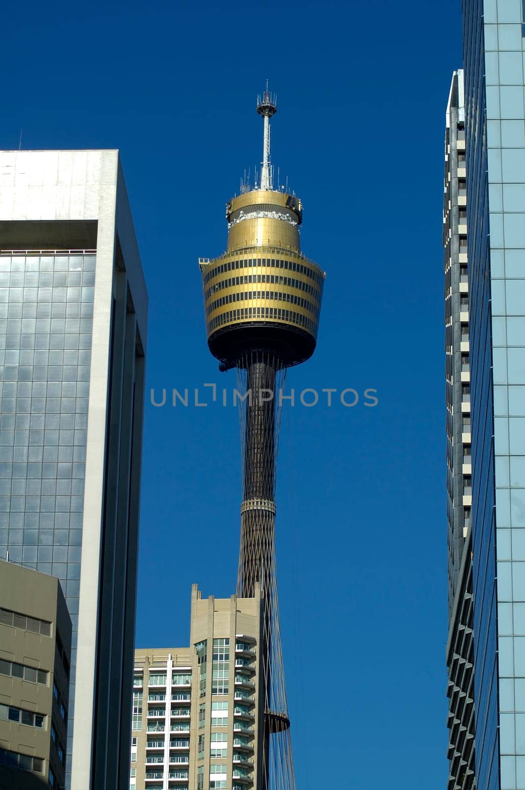 tall skyscrapers and sydney tower, blue sky