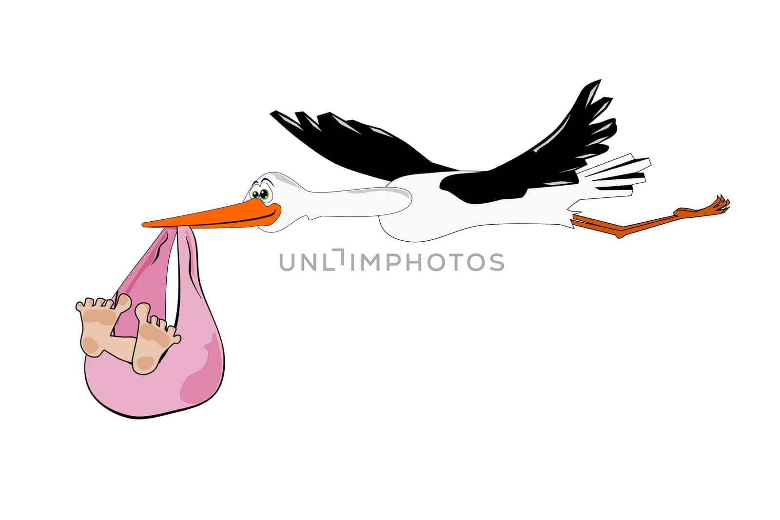 Stork with baby