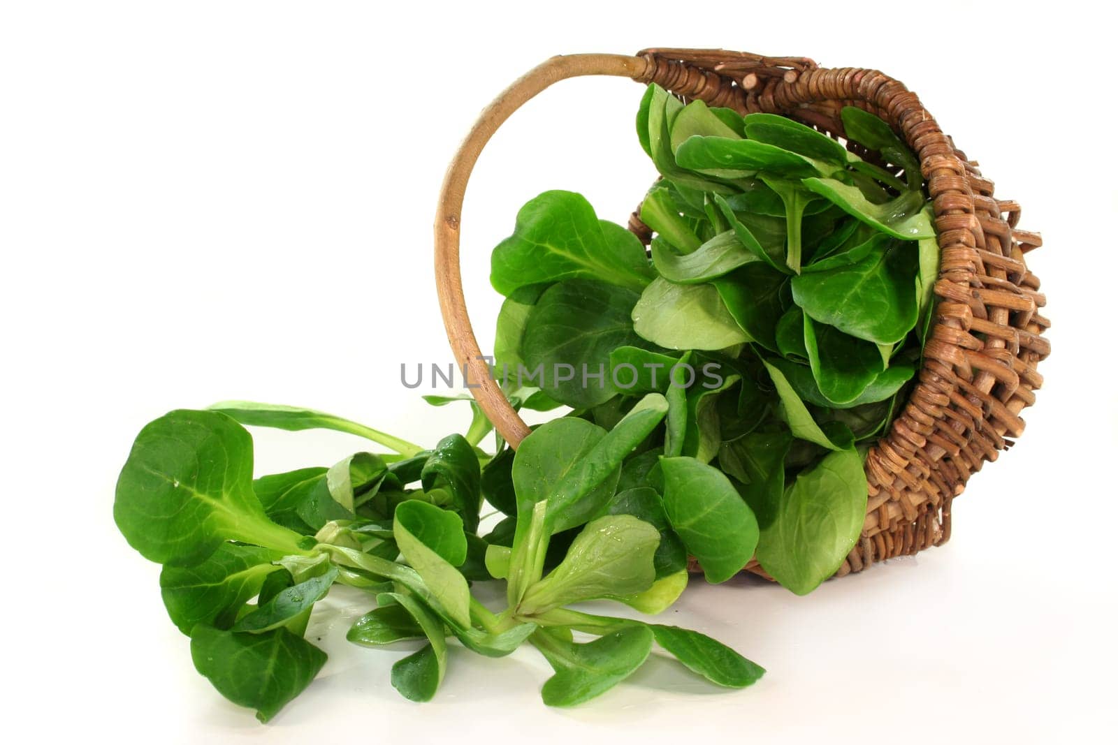 a basket filled with lamb's lettuce