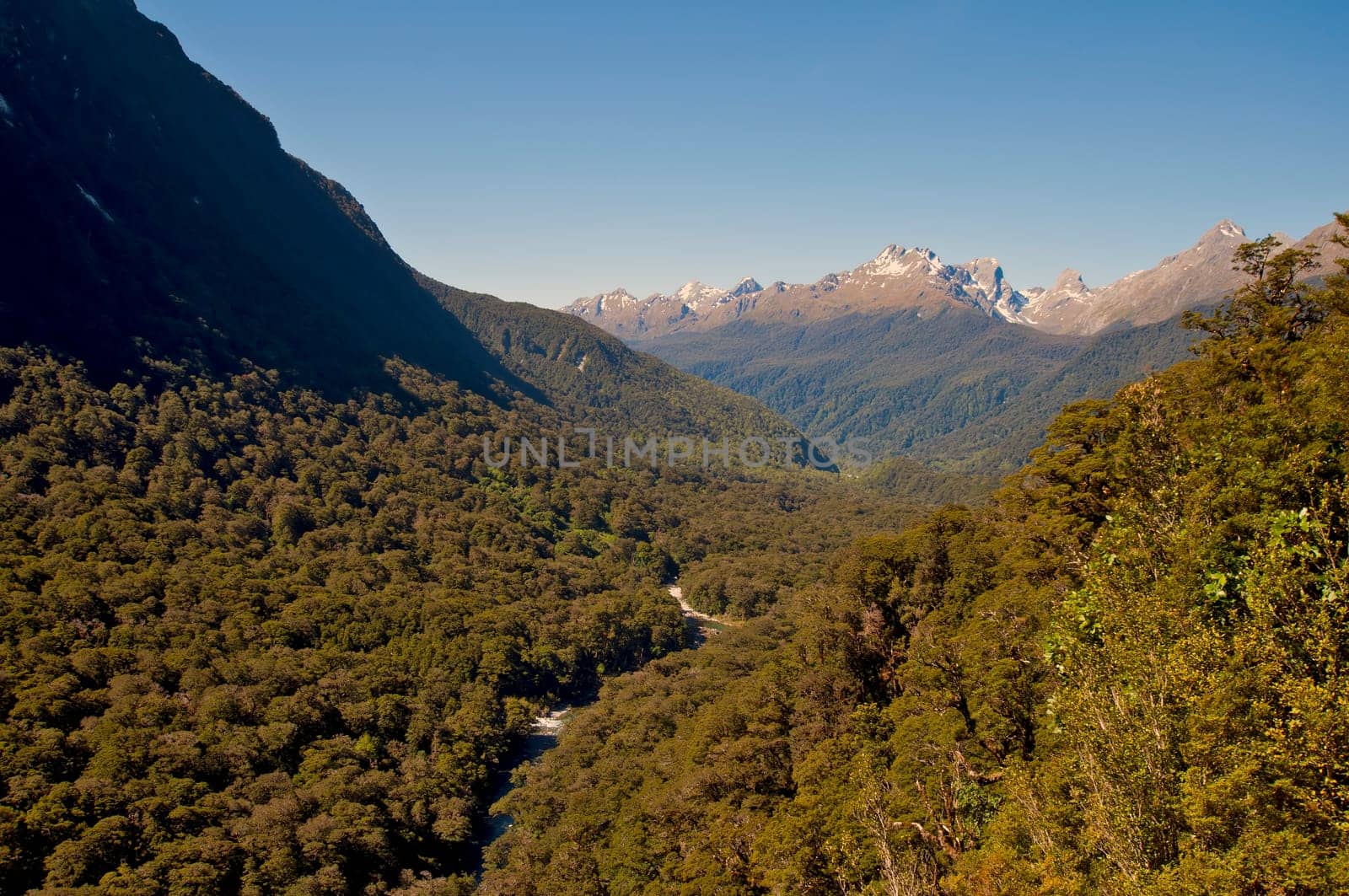 Oberlauf des Hollyford Rivers