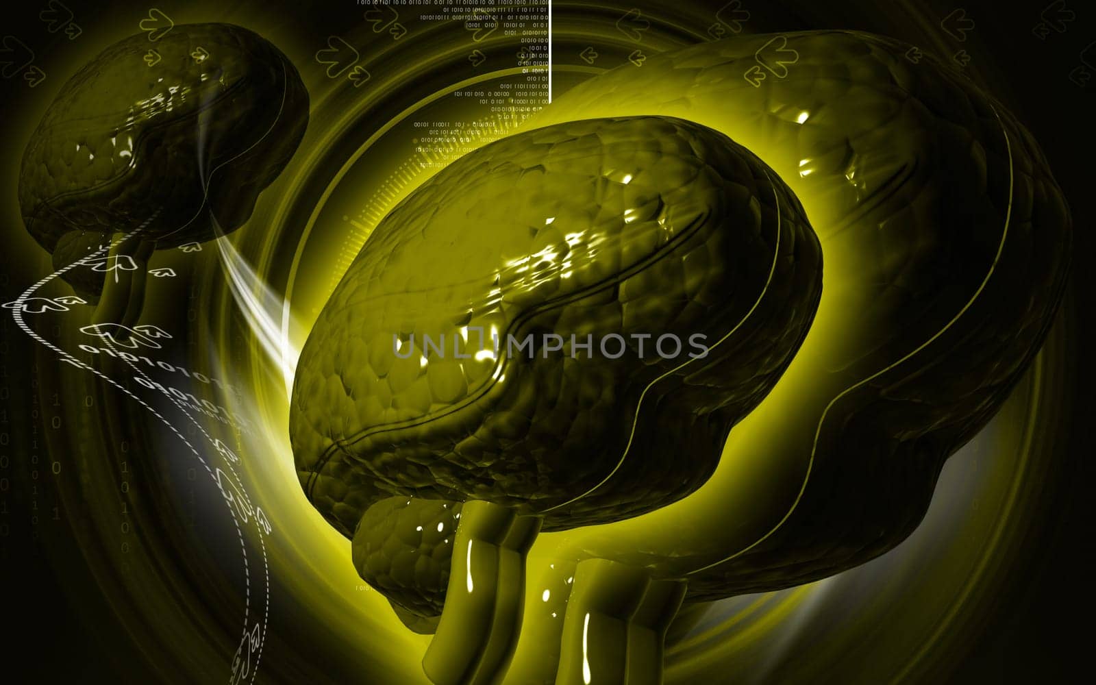 Digital illustration of brain in colour background