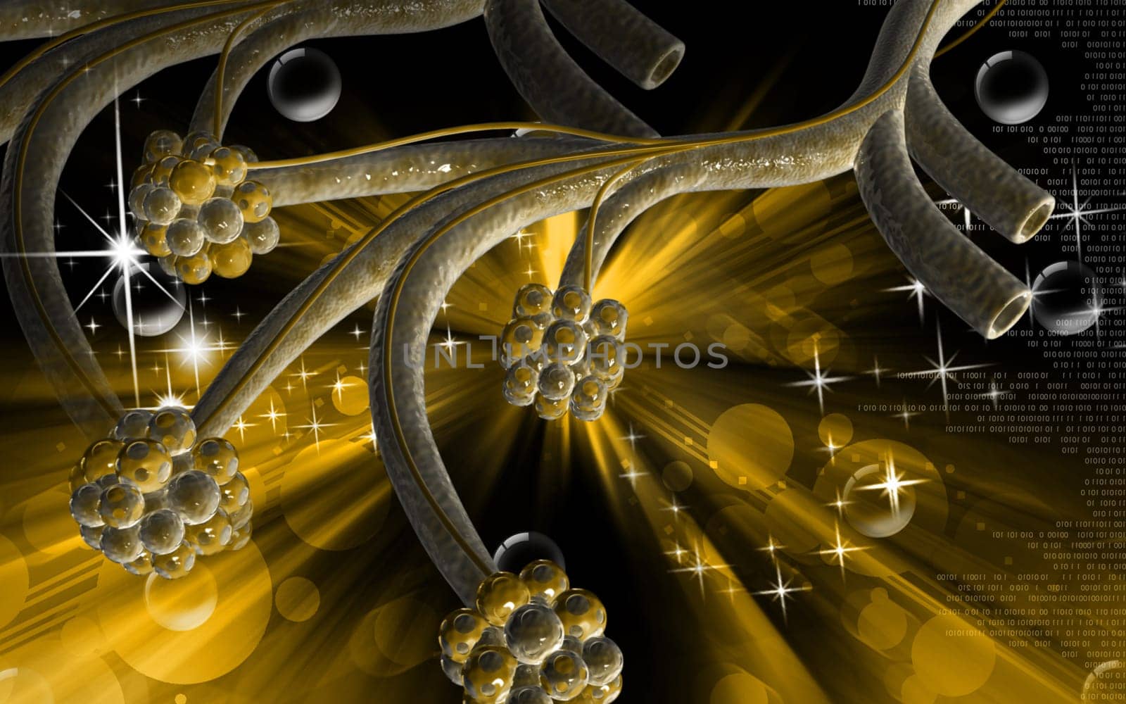 Digital illustration of alveoli in colour background