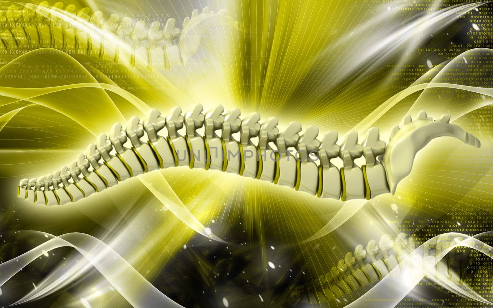Digital illustration of back bone in colour background