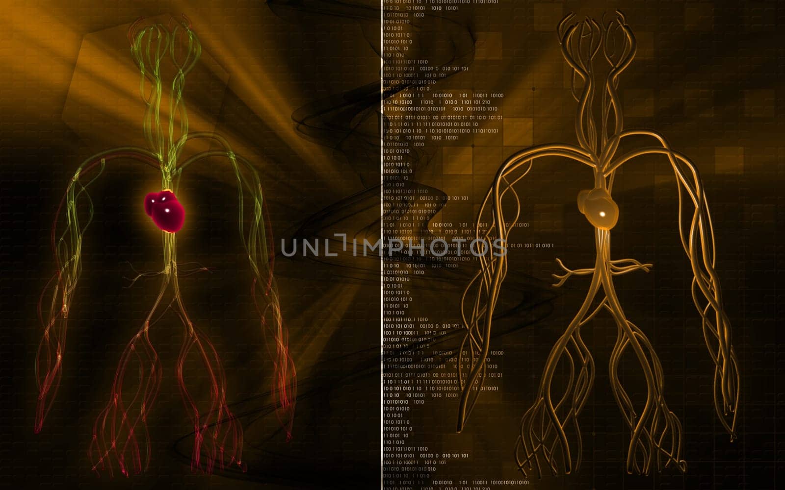 Digital illustration of vascular system in colour background