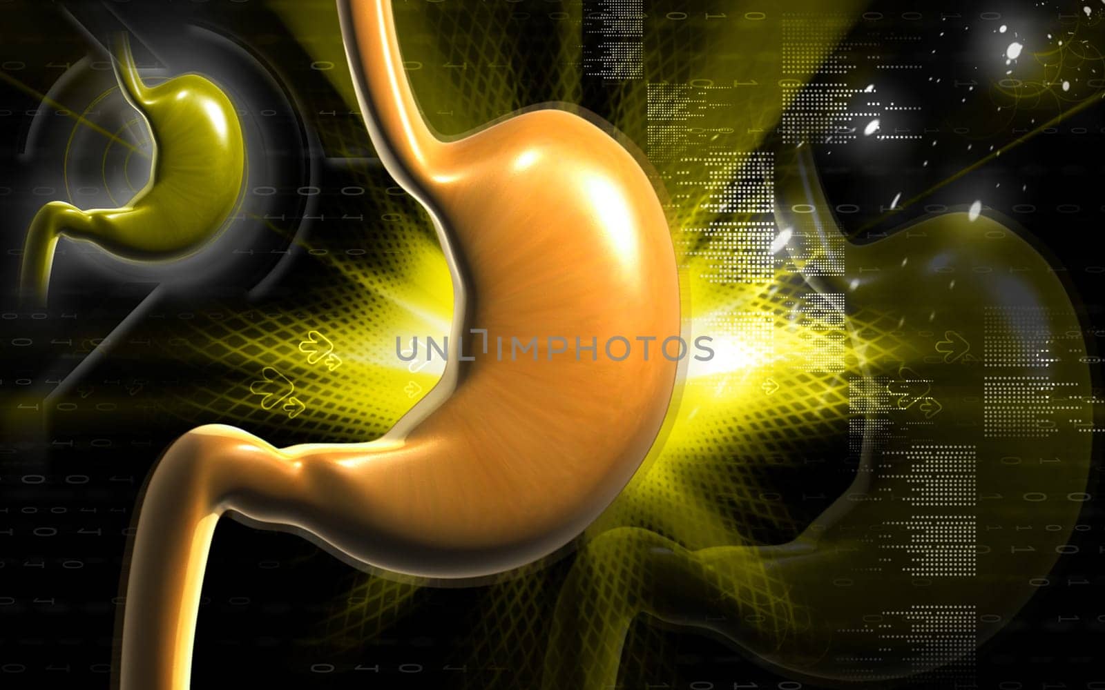 Digital illustration of stomach in colour background
