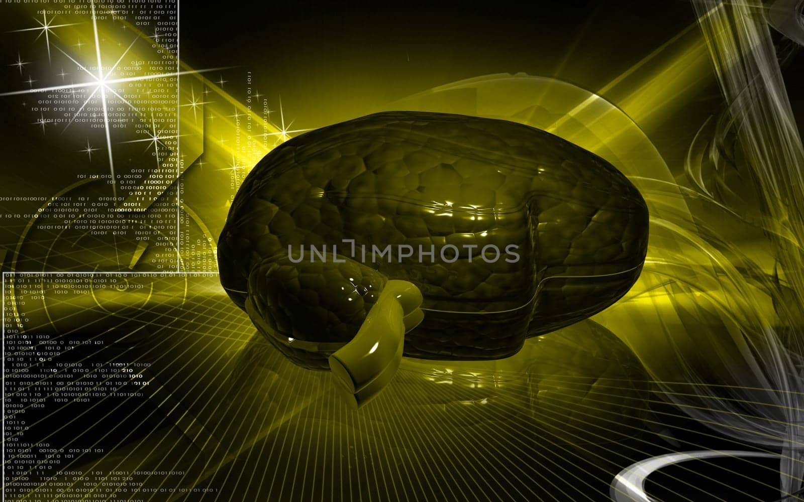 Digital illustration of brain in colour background
